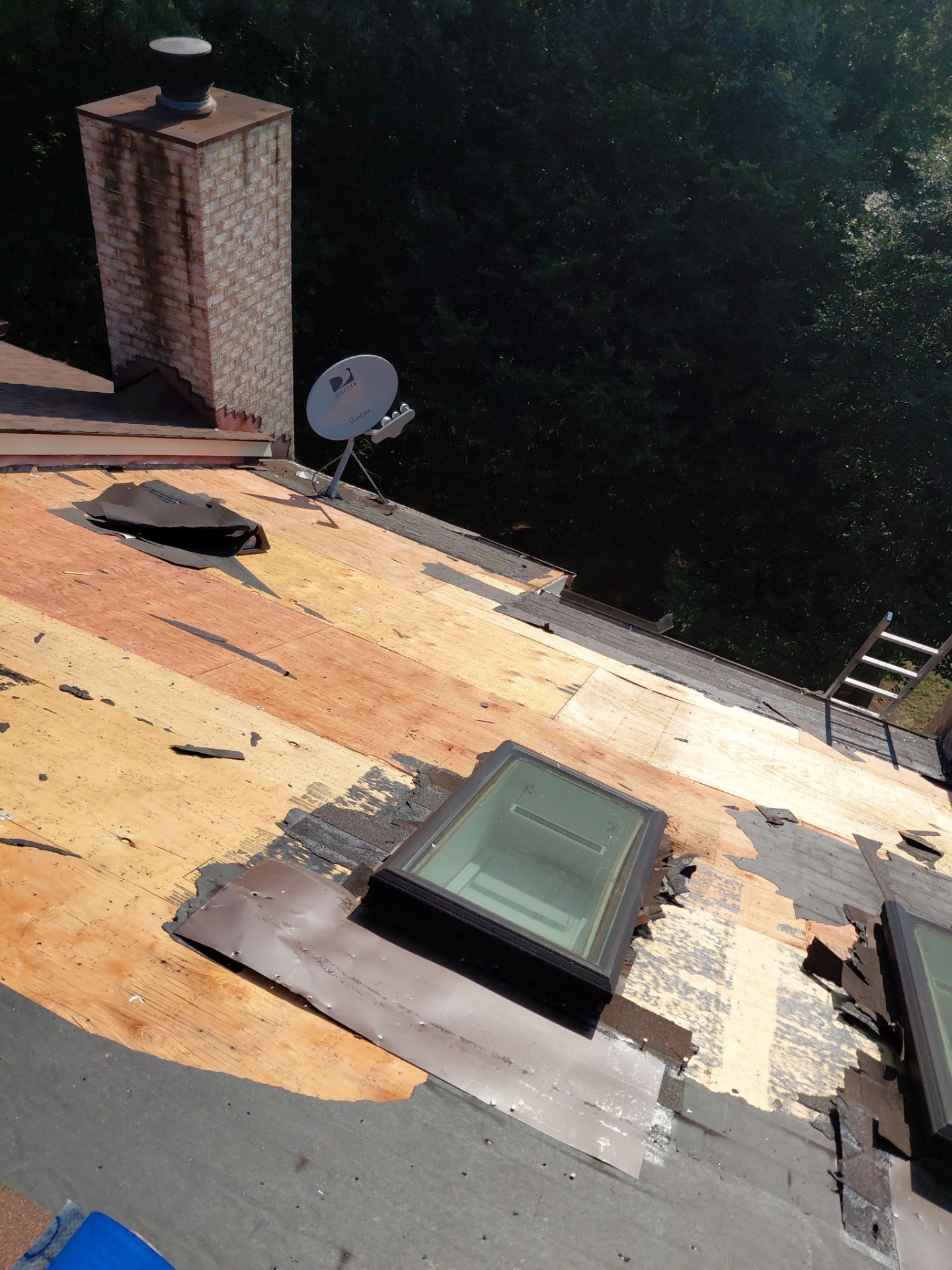 Alexandria: Residential Roof with CertainTeed Landmark Pro in Max Def Burnt Sienna by RM Banning, Inc.