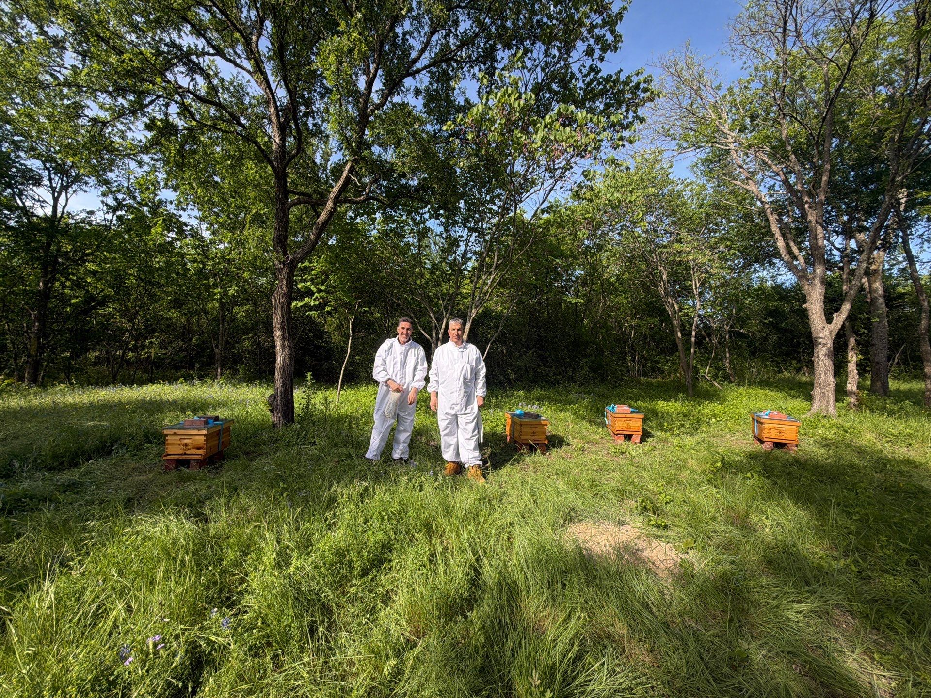 New Beekeeper in Maypearl by Rockwall Honey Bee Company