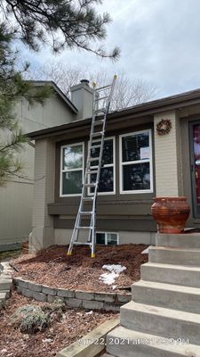 Project in Englewood