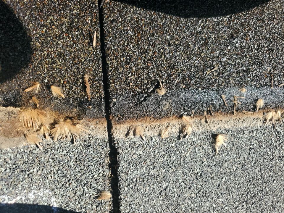 Nampa Idaho Residential Roofing Installation using Owens Corning by ID Roofing LLC