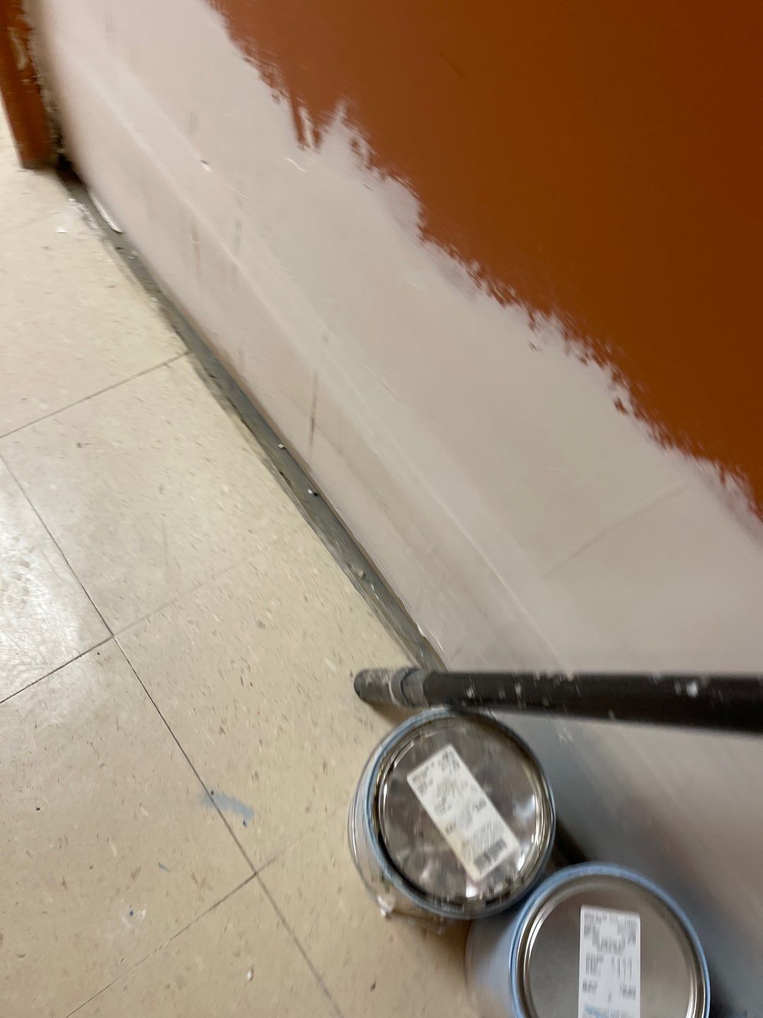 Cat Hospital Project in Pittsburgh by Floors in a Day, Inc