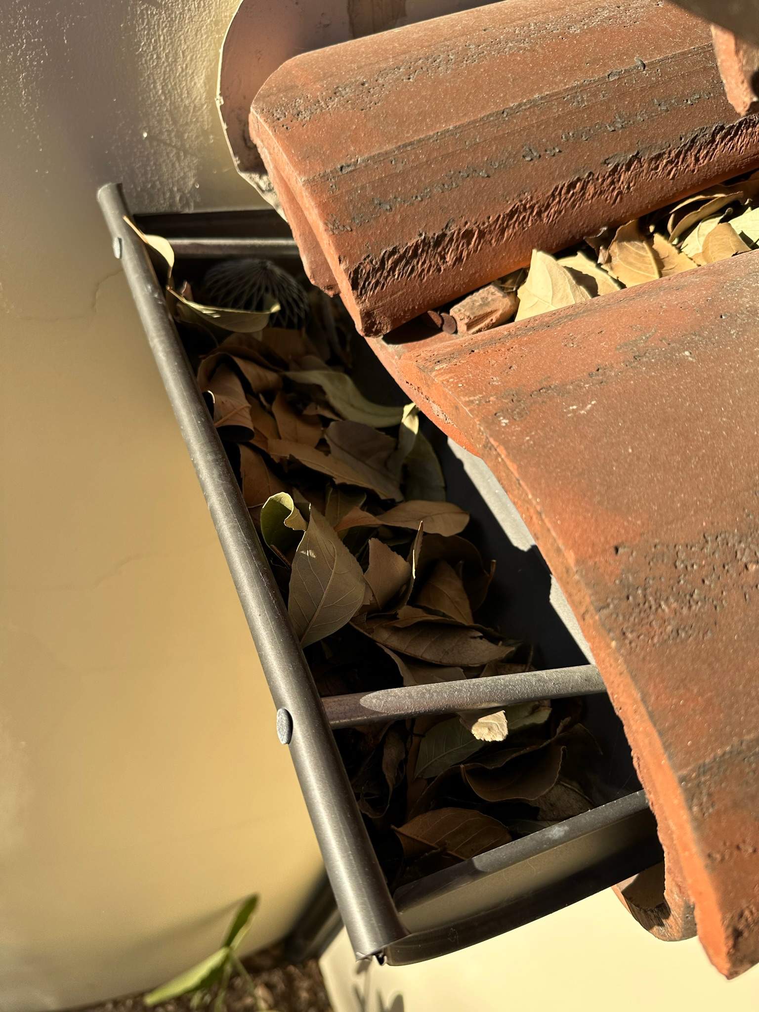 Orange County Gutter Cleaning by Property Cleaning Experts