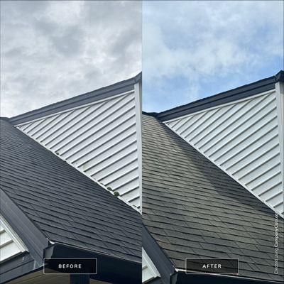 Project in Mt Prospect