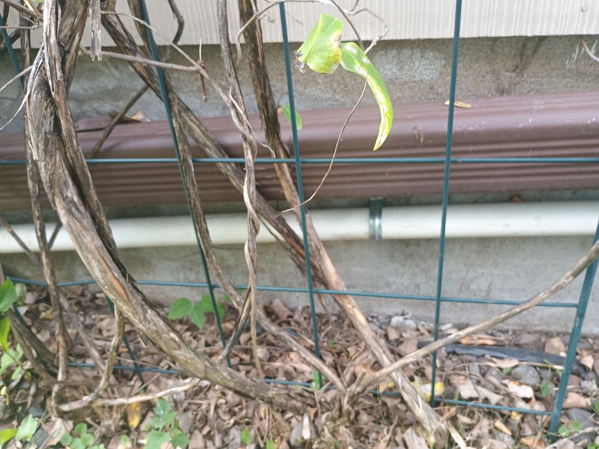 Basement Waterproofing in NE Minneapolis by Waterproofing Northeast