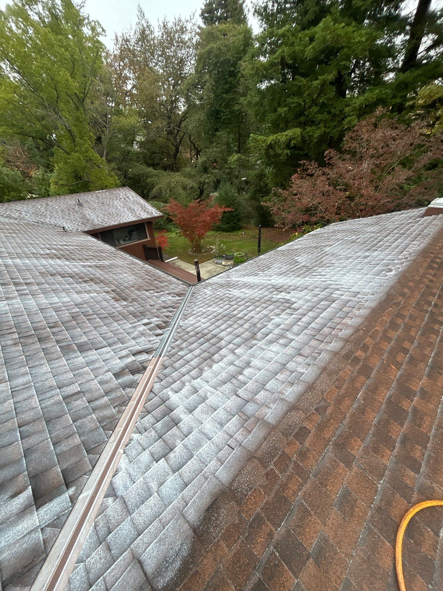 Roof Rejuvenation using Roof Maxx Treatment by Roof Maxx of Folsom