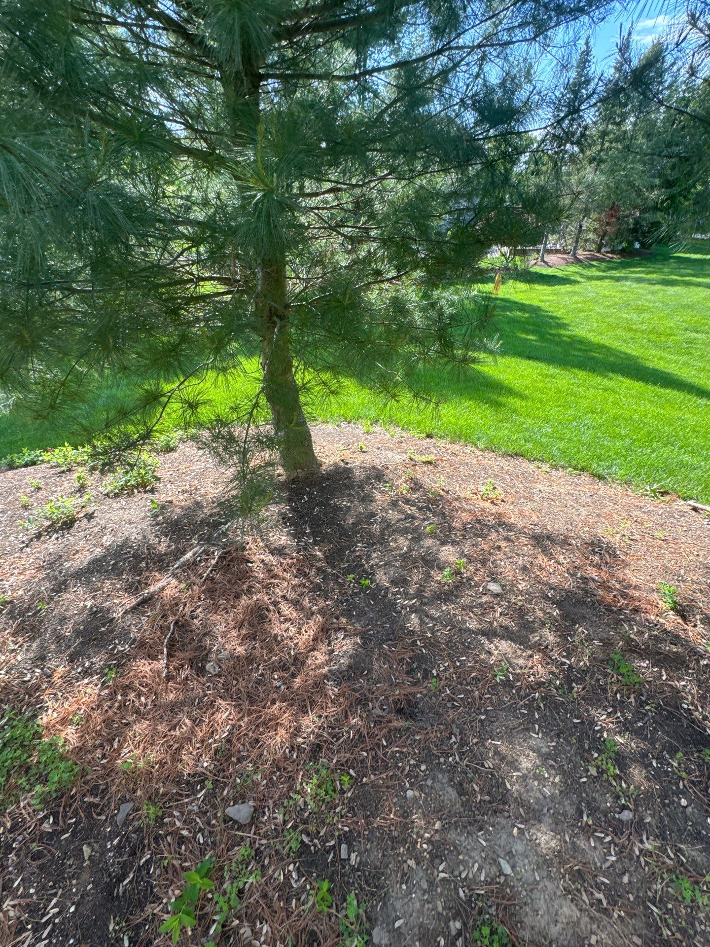 Backyard Retreat: Techo-Bloc Patio + Firepit Lounge by Saylor’s Lawn & Landscape