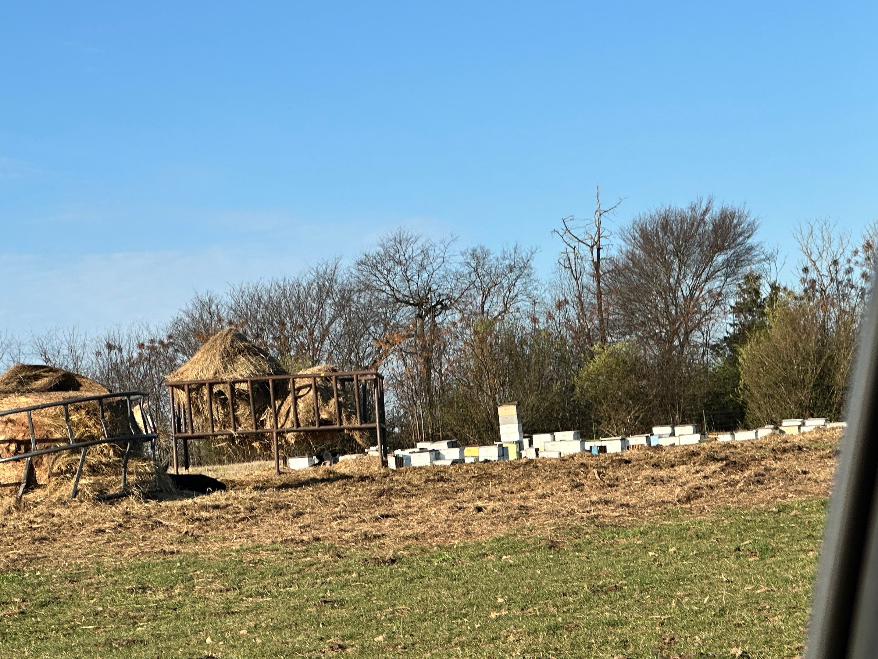 Clubb's Cow Farm Apiary by Rockwall Honey Bee Company