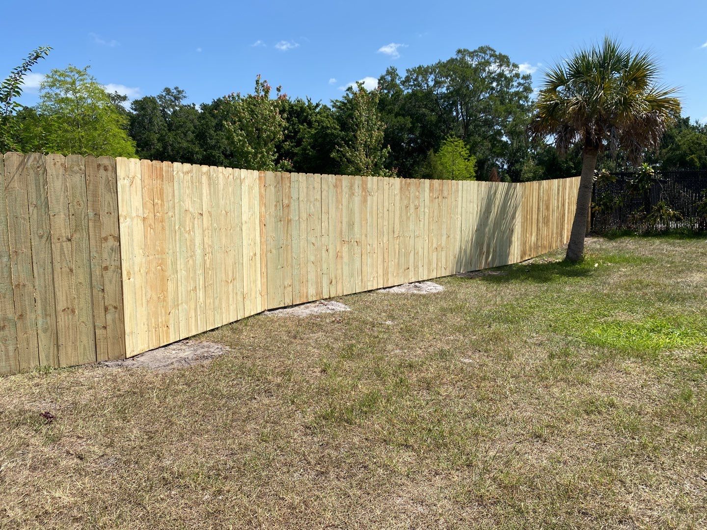 Bradenton, FL 6ft. Treated Board on Board Privacy Fence  by Asap fence and gates, LLC