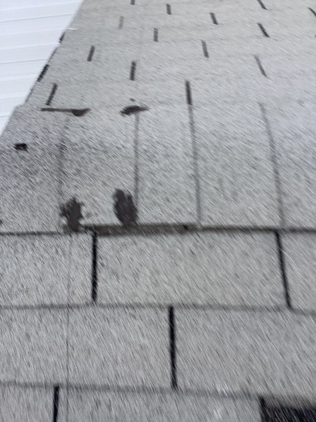 Manuel's Full Re Roof (Energy Star) by All Storm Roofing & Construction