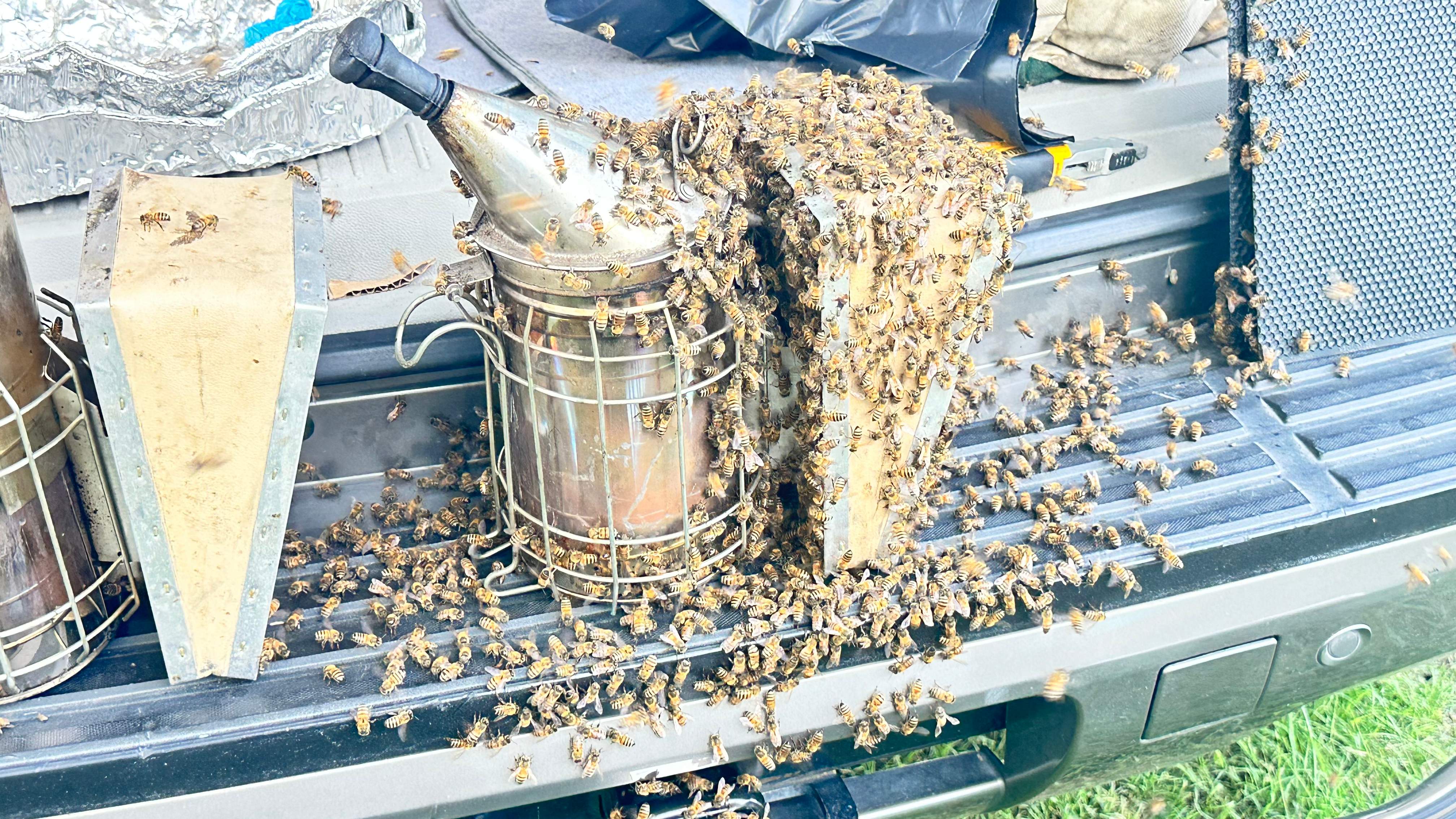 Irrigation Box by Rockwall Honey Bee Company