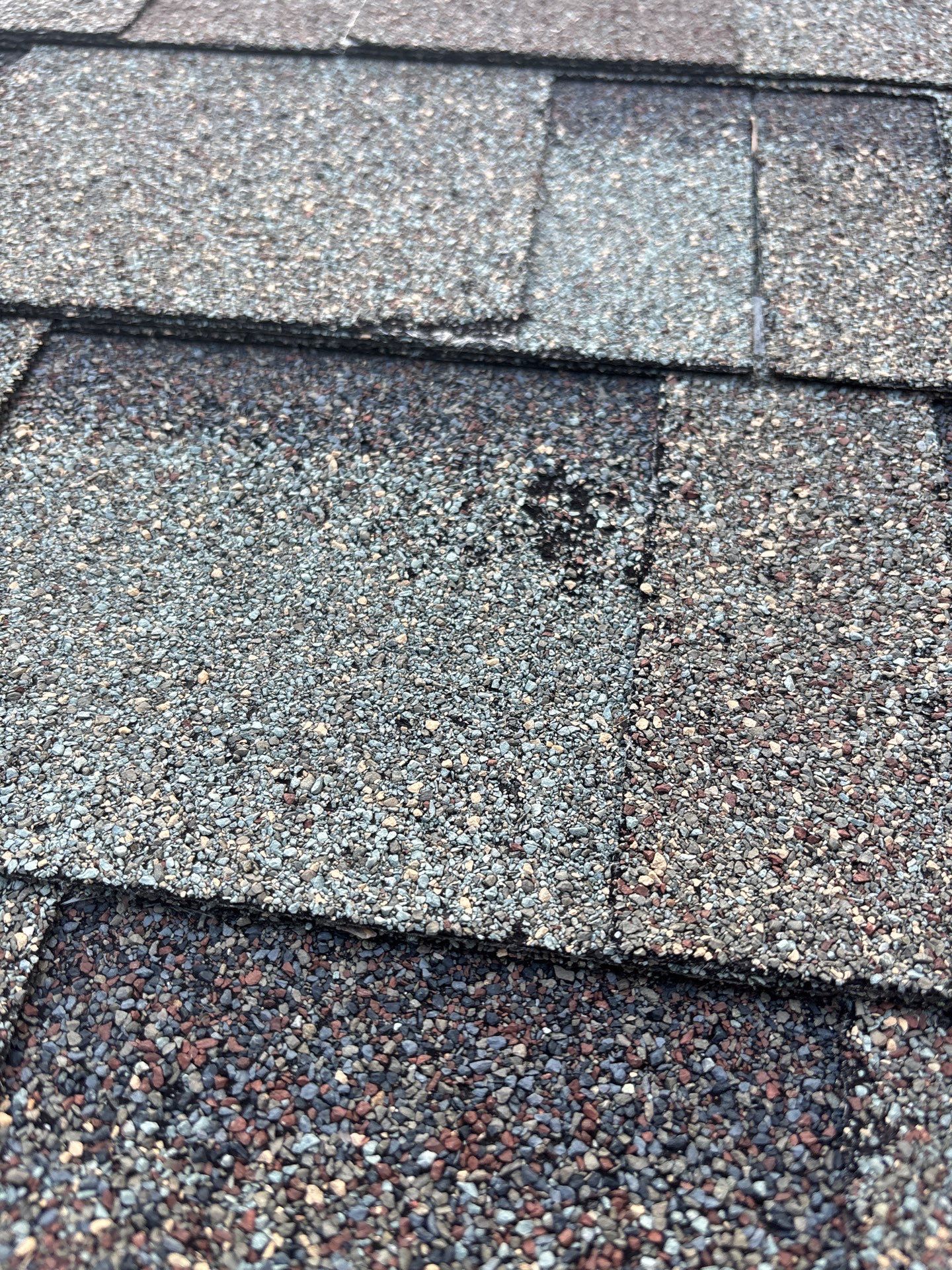 Project in Richmond by Roof Maxx of Midlothian