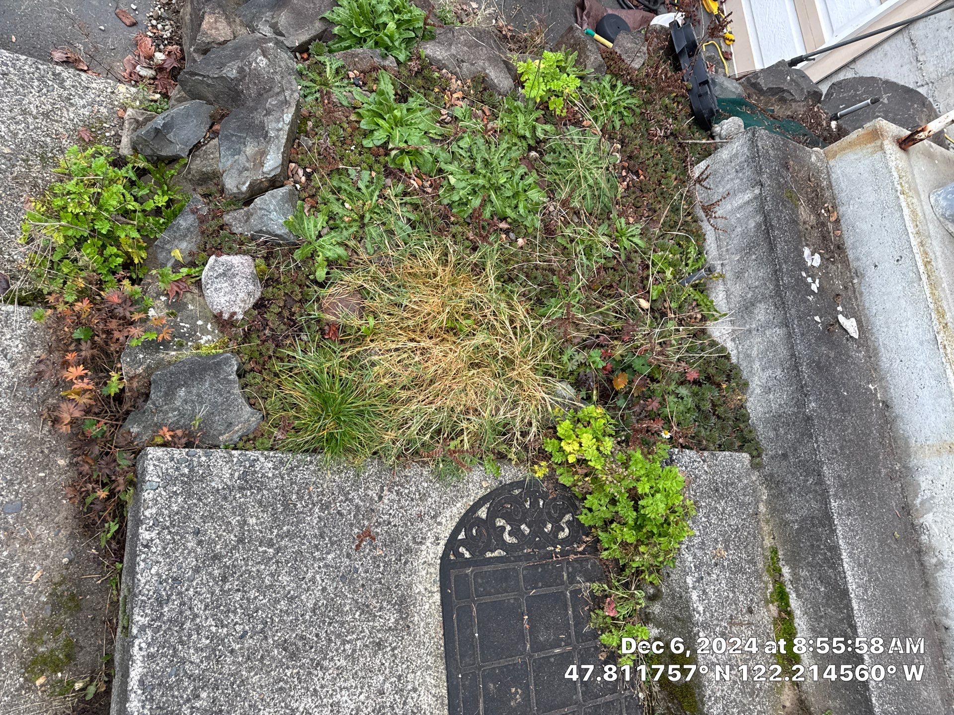 Concrete Front Stair Repair | Bothell  by Jireh Asphalt & Concrete Inc 