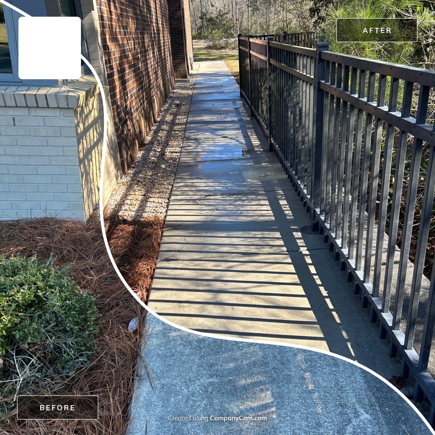 Concrete Cleaning in Hampstead by Shark Power Washing