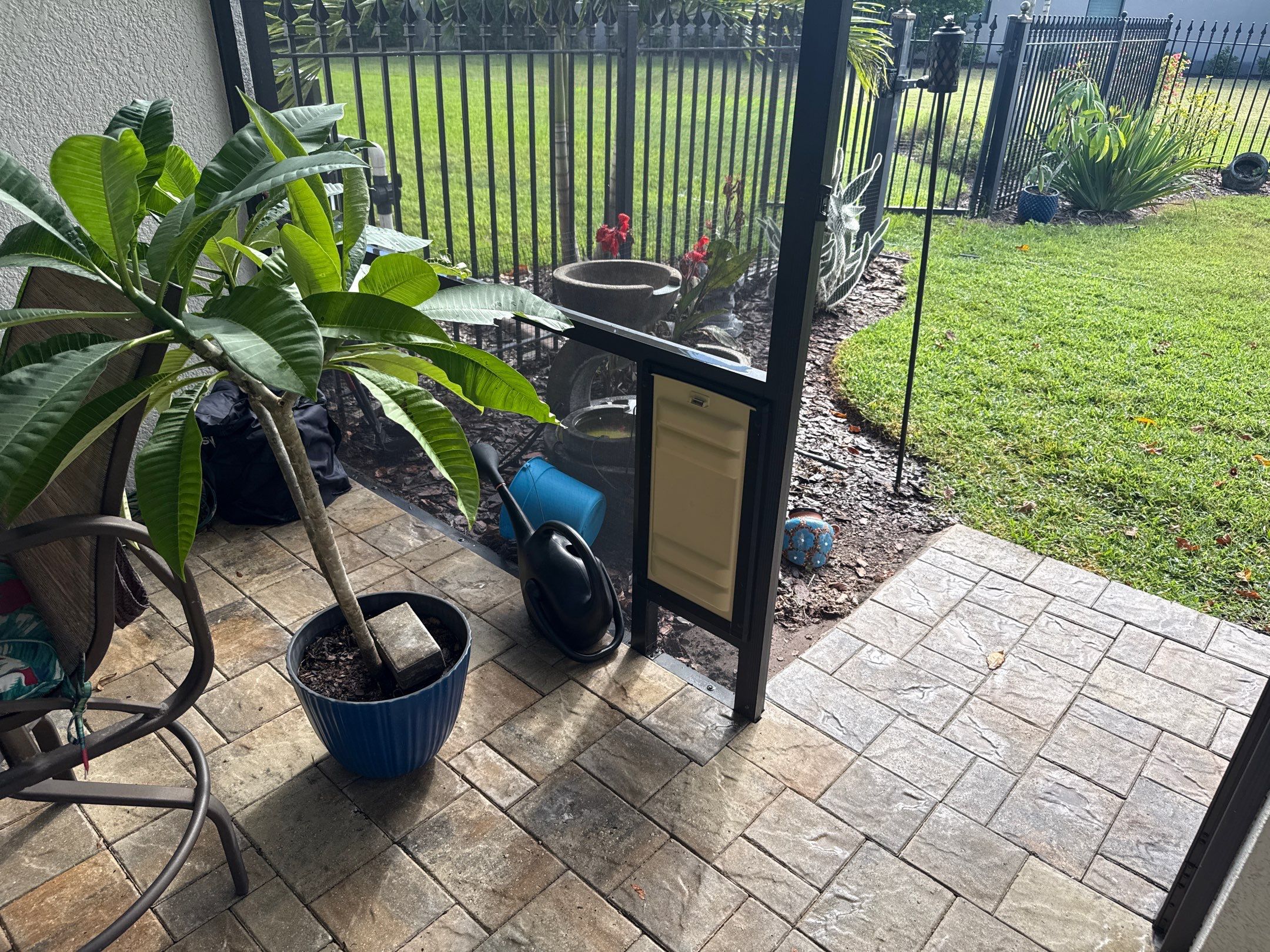 Pool Cage Cleaning | Rye Wilderness, Bradenton FL by Sunshine AquaWash