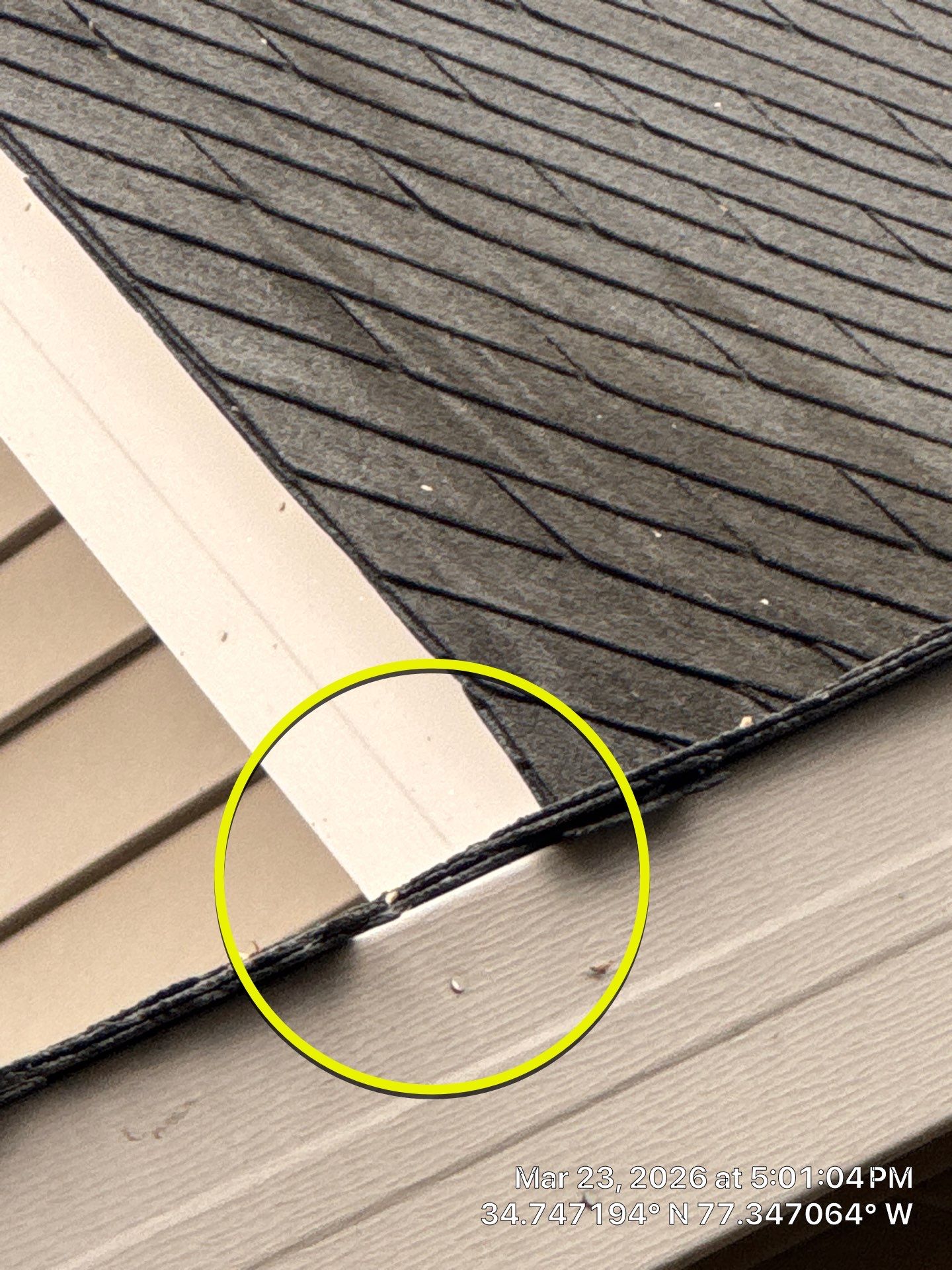 Free Roof Inspection Jacksonville, NC by North Carolina Roofs