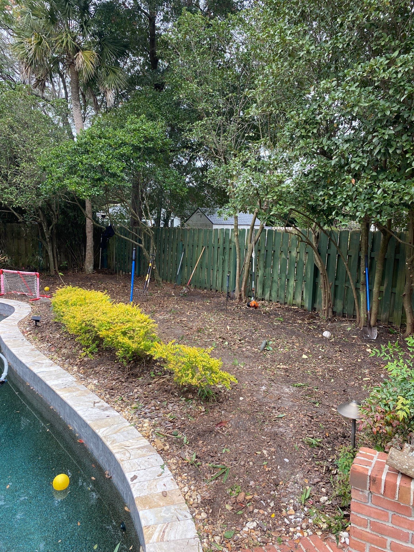Deerwood Resident | Extreme Cleanup by ProGreen Services