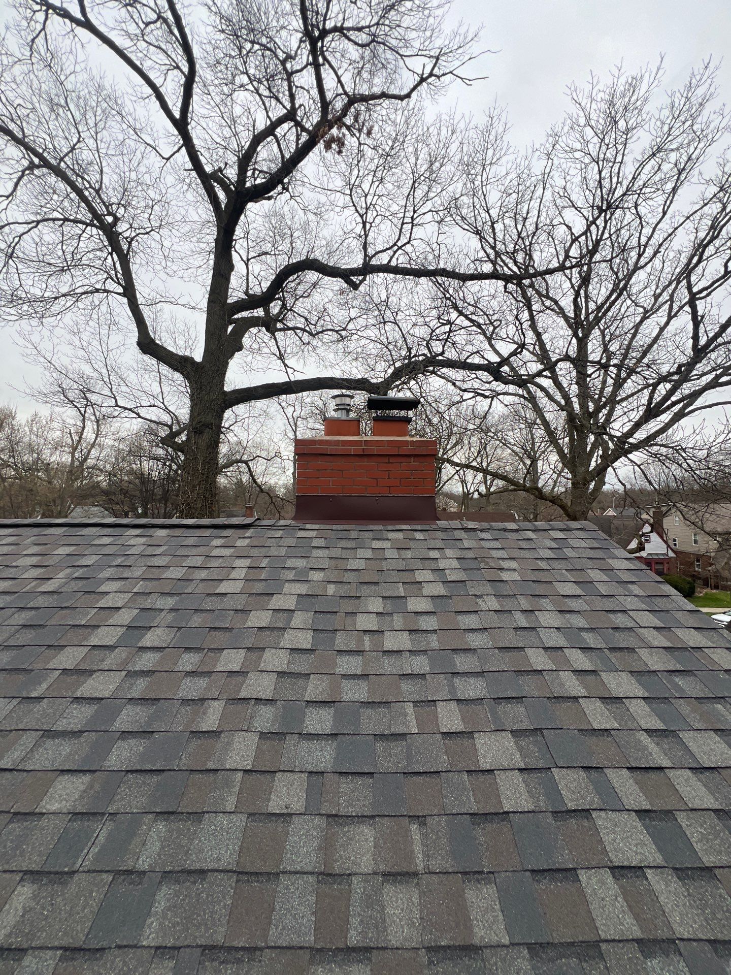 Project in Pleasant Ridge by Eave Roofing