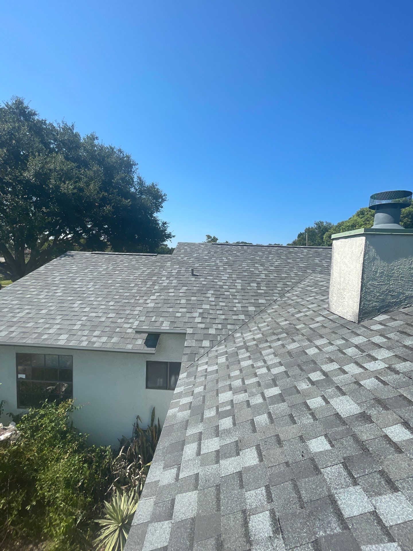 Shingle Reroof Replacement  by Pinnacle Roofing Group