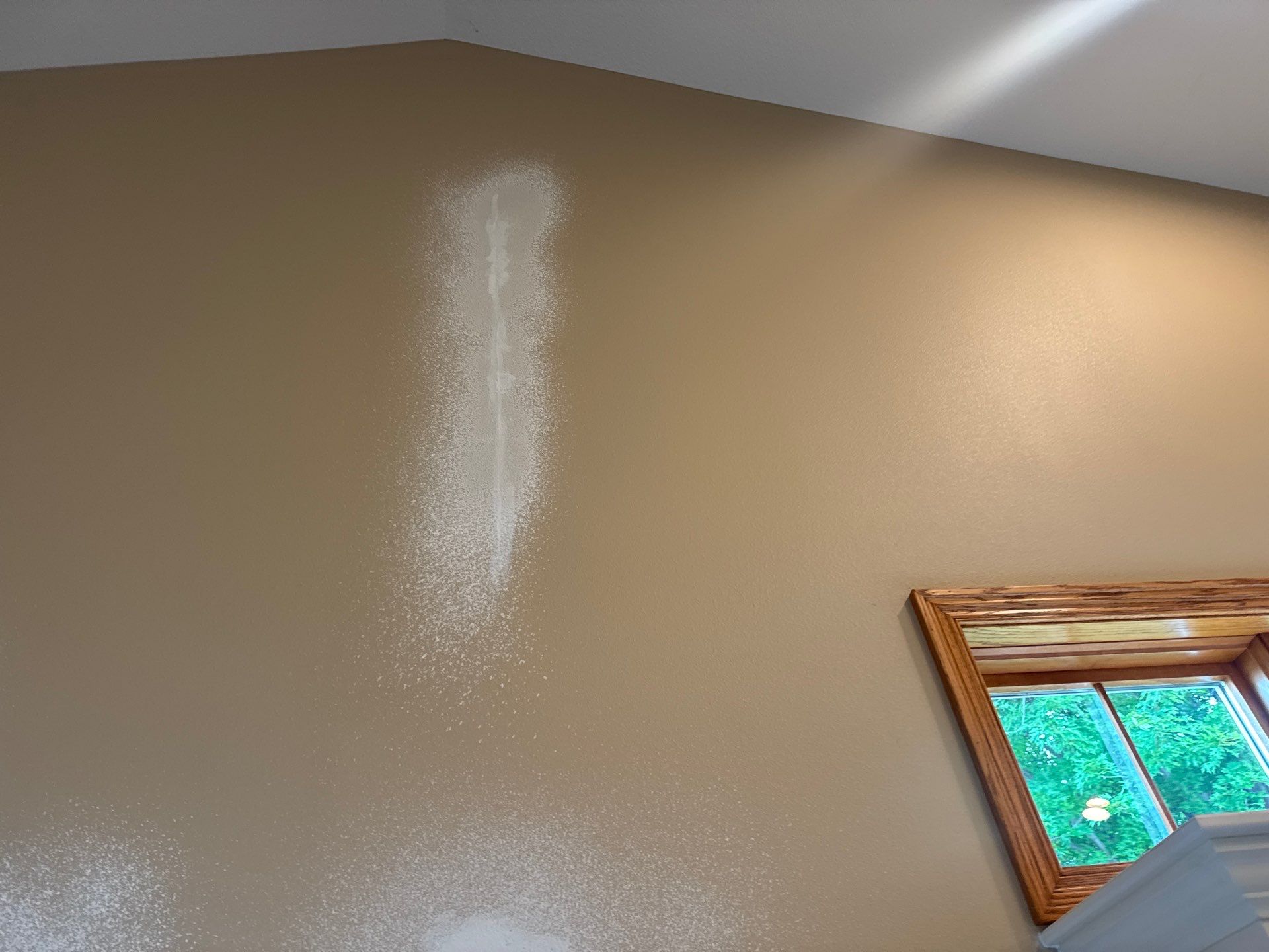 Res Int Repaint  by Midwest Paint LLC