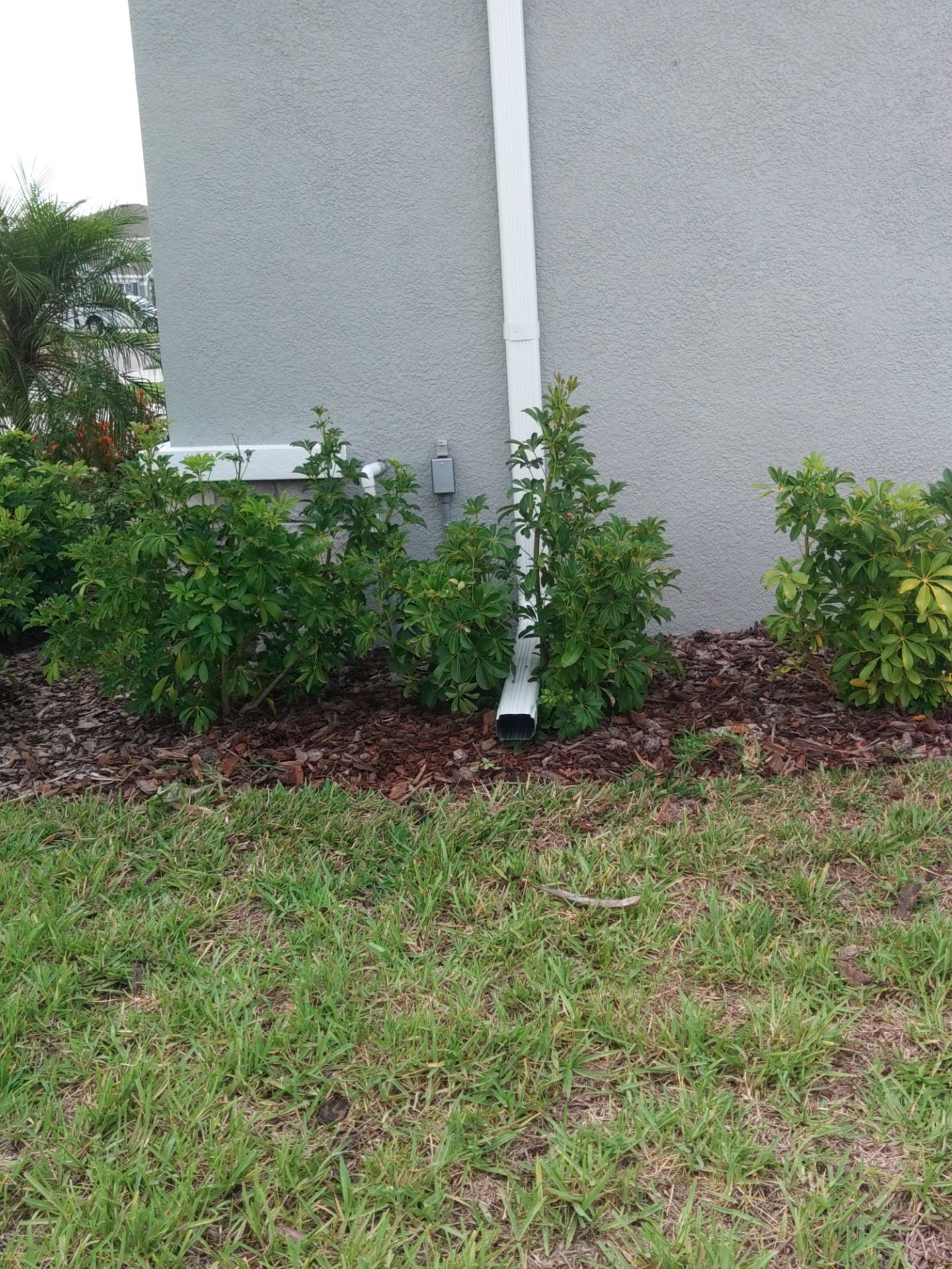 Gutter Cleaning & Maintenance in Lakewood Ranch FL by Gutter Professors