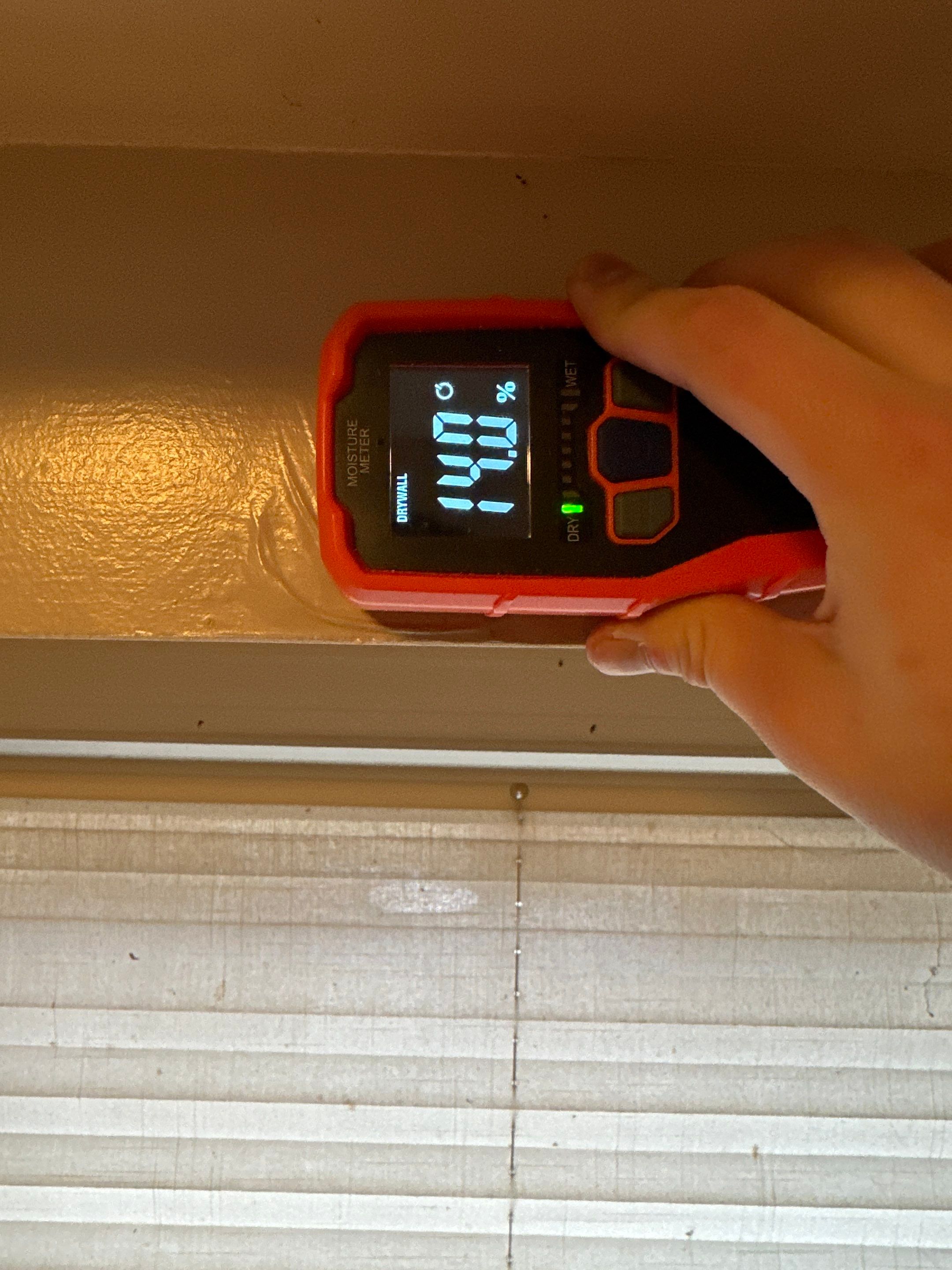 Basement Mold Remediation by Home Guarantee, LLC
