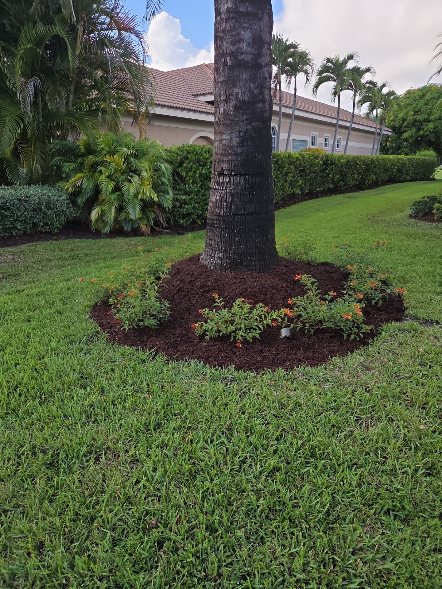 Palm City Revival at Pipers Landing by Alpha Zeta Enterprises Inc