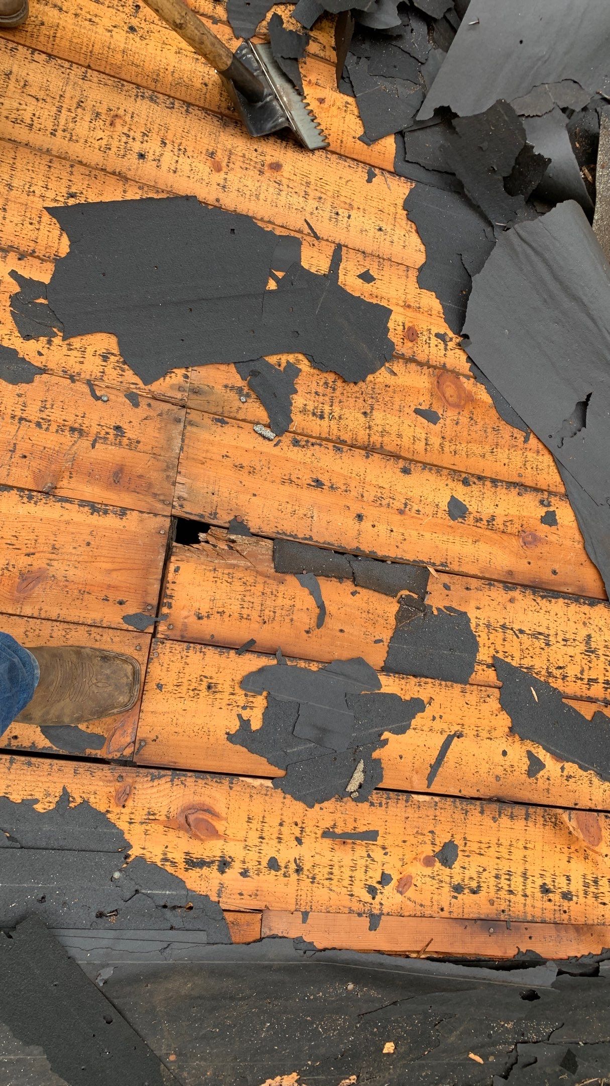 Residential Shingle Reroof using 29 gauge metal by Hostetler Roofing