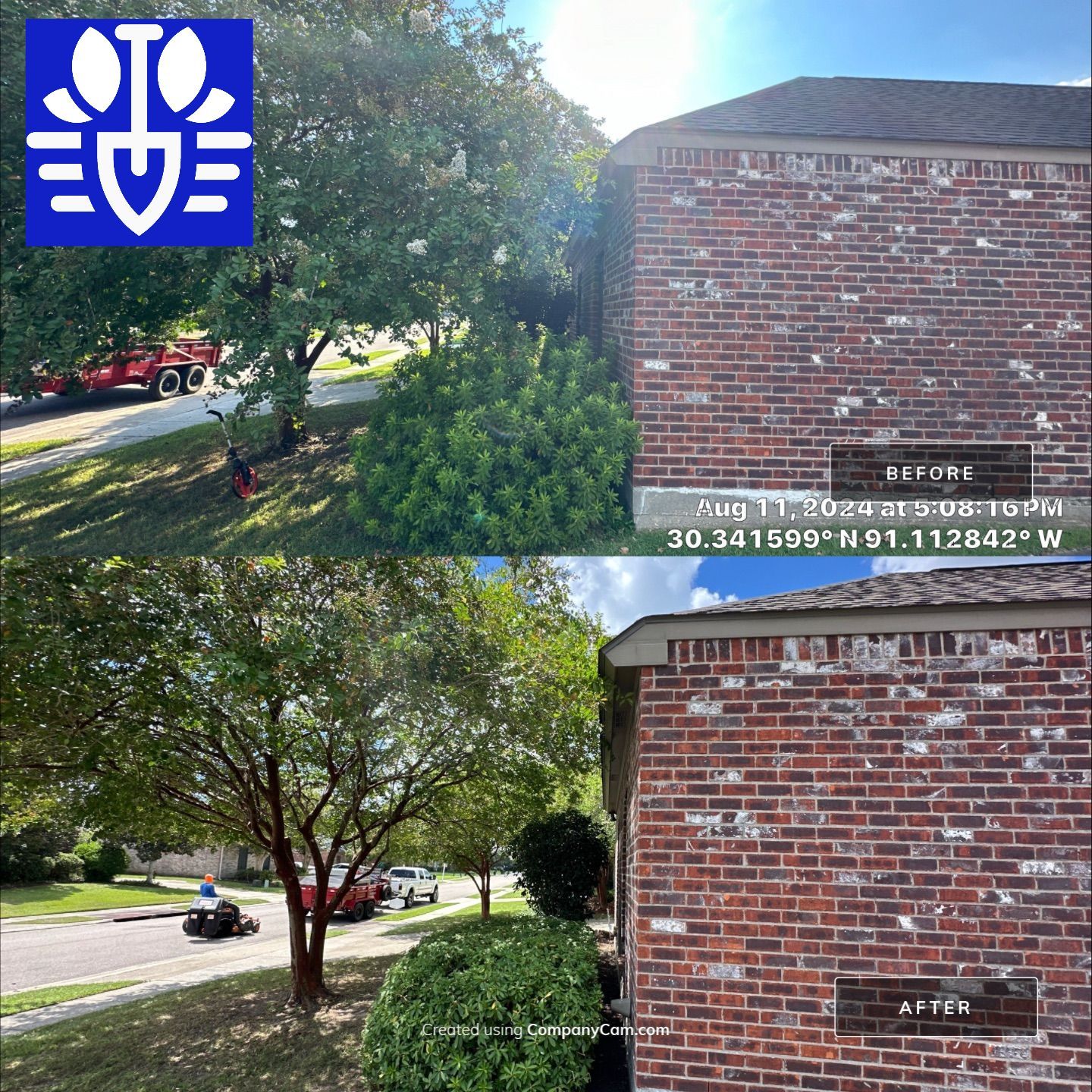 LANDSCAPE SERVICES: DEMO /PREP/ INSTALL / TRIM / MULCH INSTALL by CutScape, LLC.