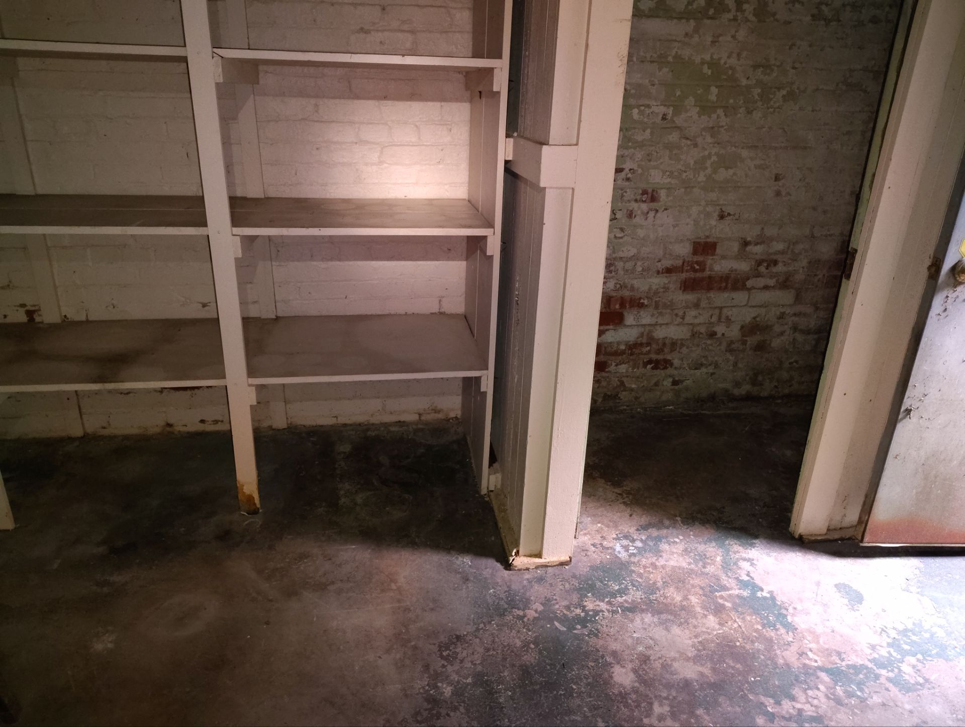 Historic Tudor Home Mold Remediation and Structural Cleanup in Steubenville by Home Environment Solutions