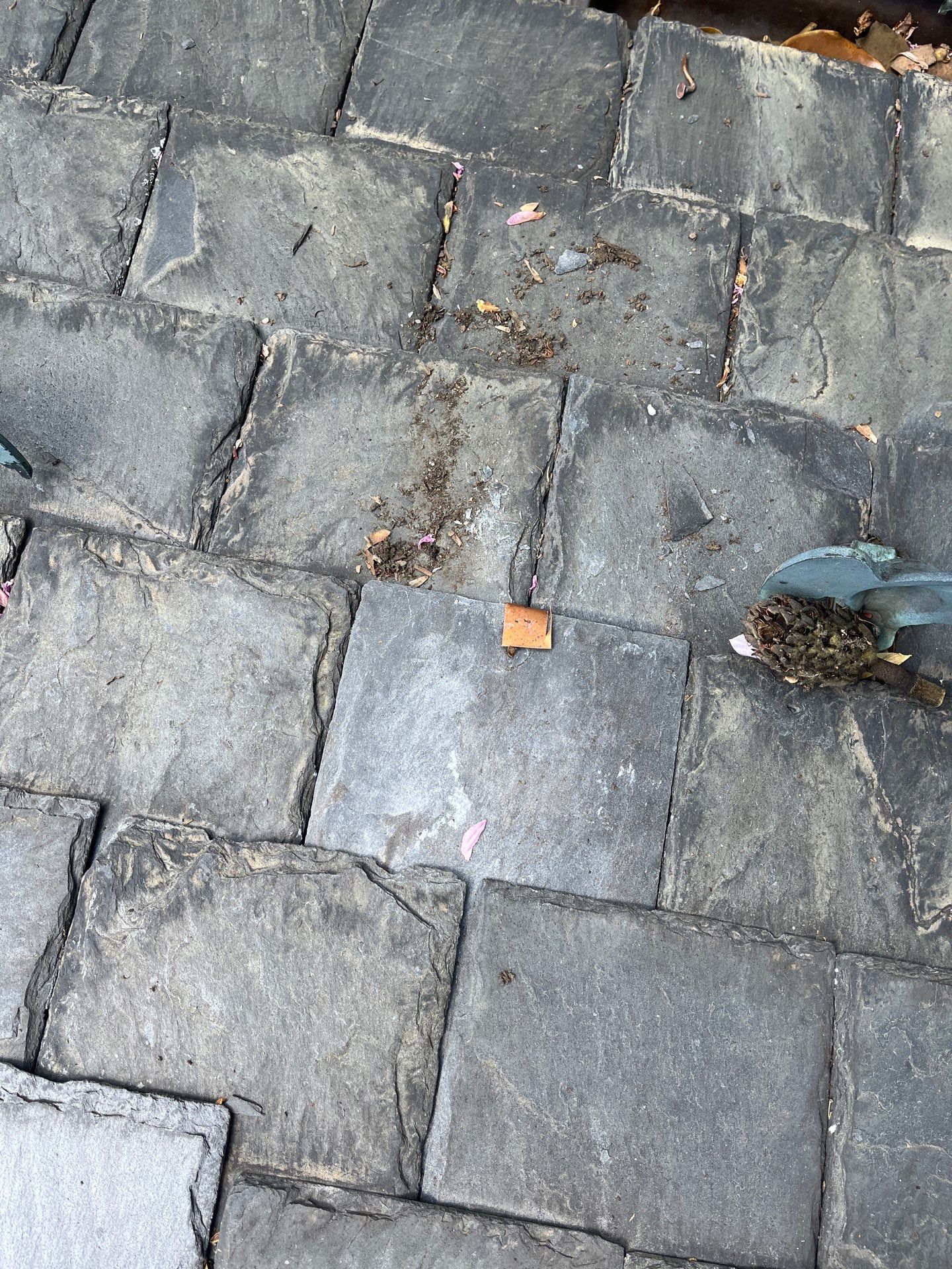 Arlington: Buckingham Slate and Carlisle Syntec TPO Roof by RM Banning, Inc.