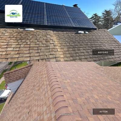 Rustic Cedar Shingles