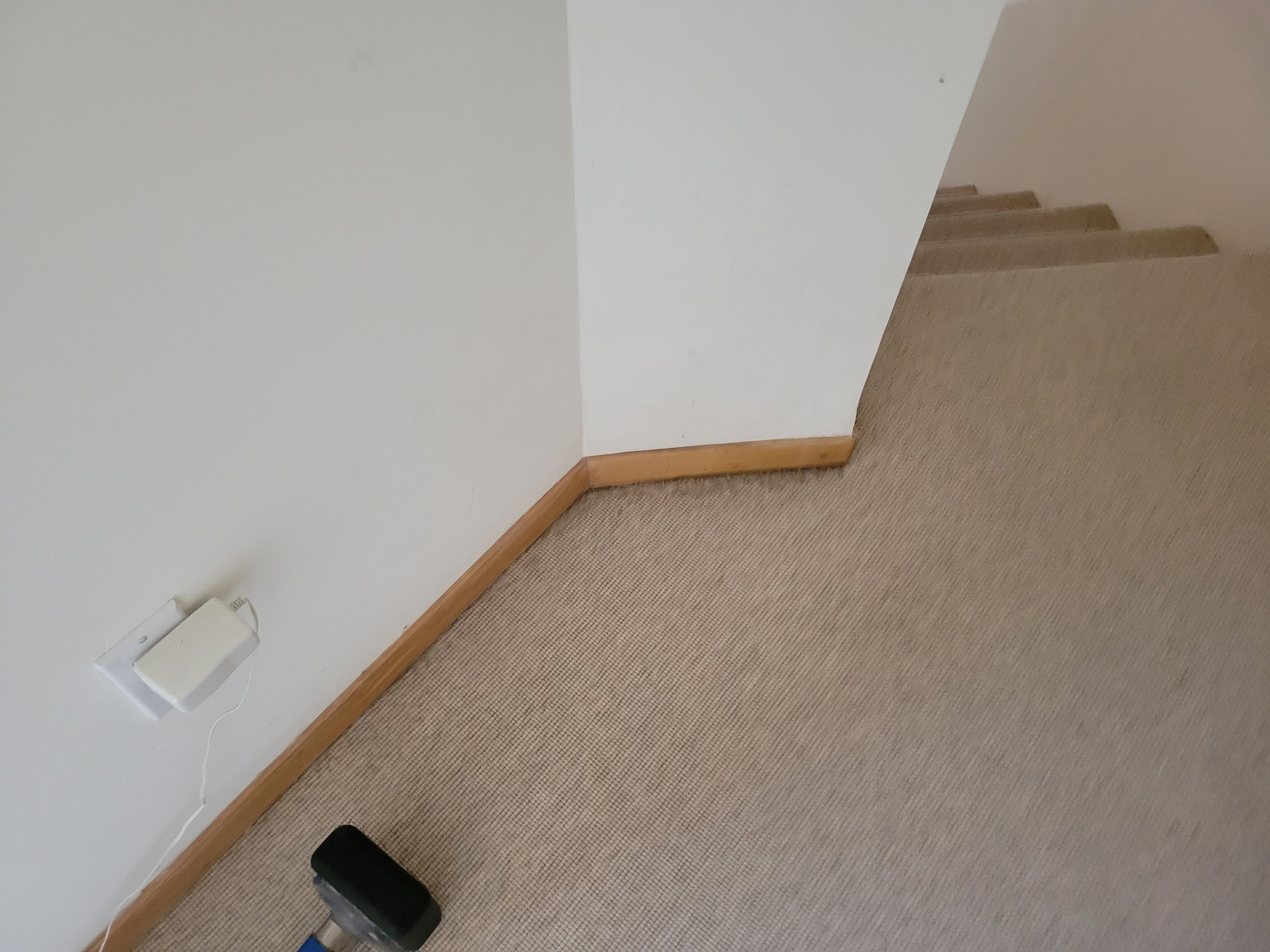 Repair and Cleaning of Wool Carpeting by Ardent Carpet Restore LLC
