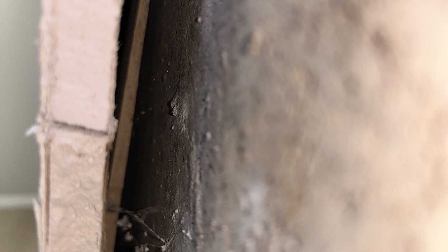 Mold Damage Repairs by Accountable Home Services