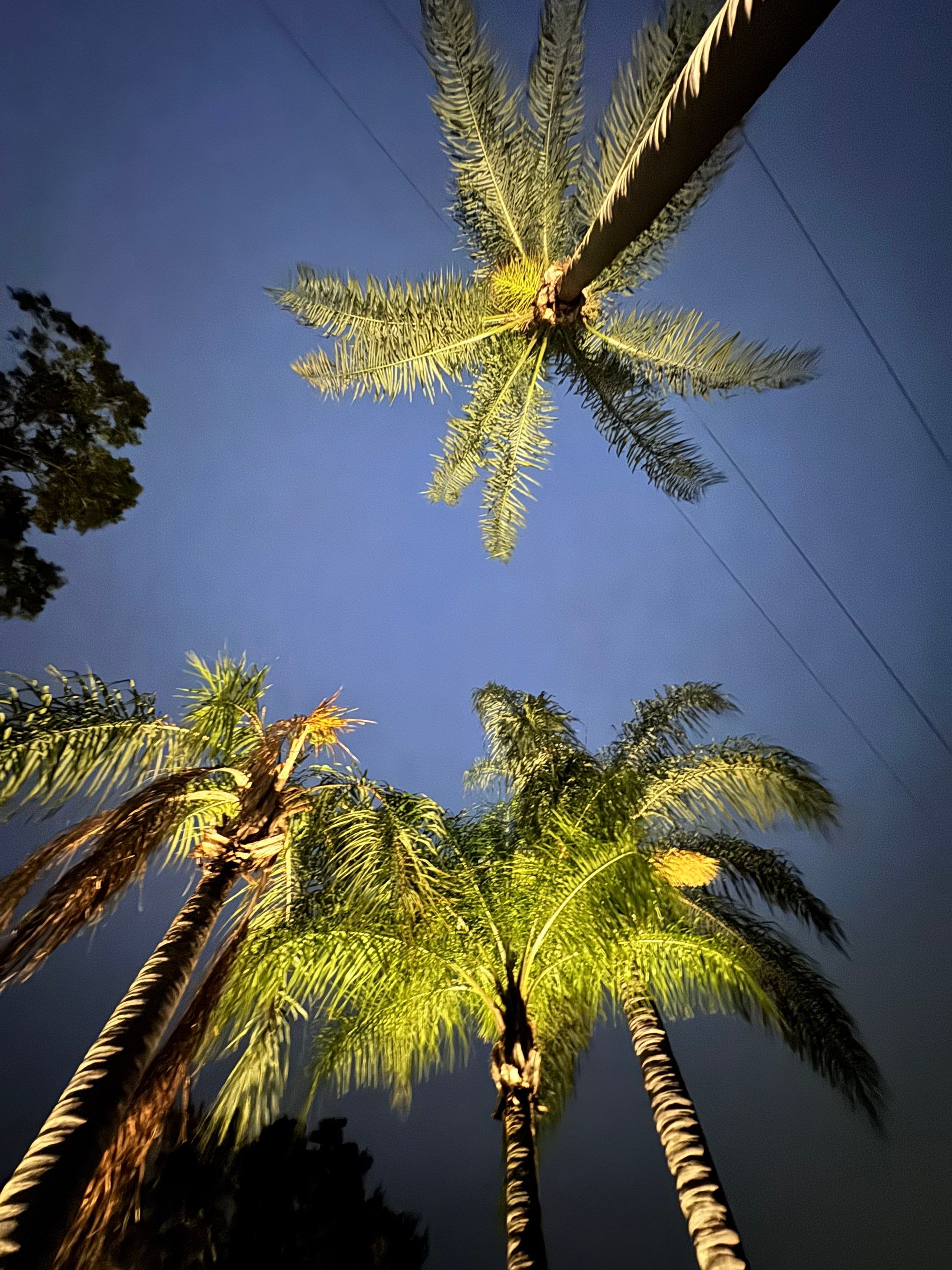 Landscape Lighting for Clearwater Home and Outdoor Living Space by Elegant Accents