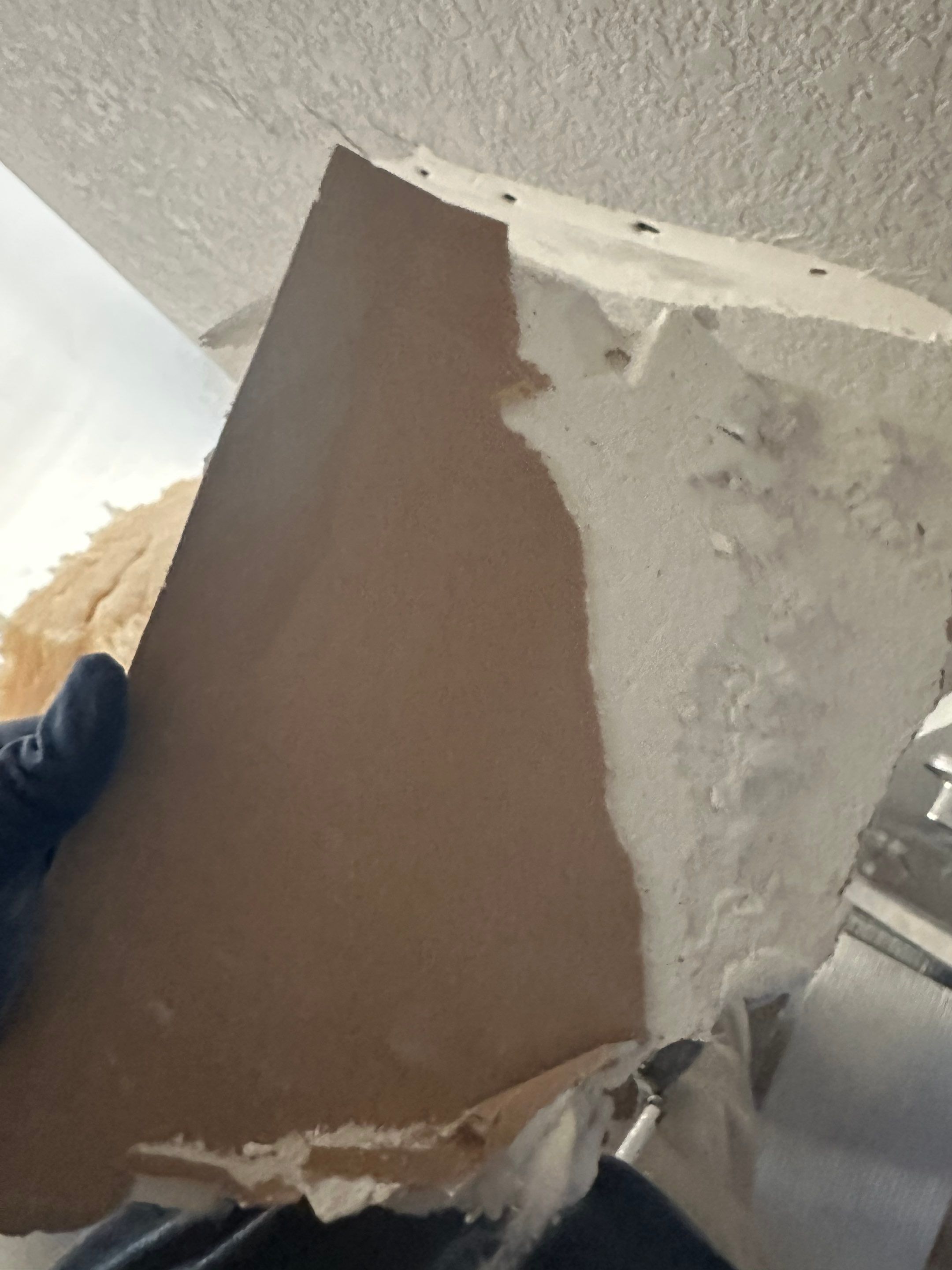 Mold Remediation in Denver, CO by Alpha Restoration 