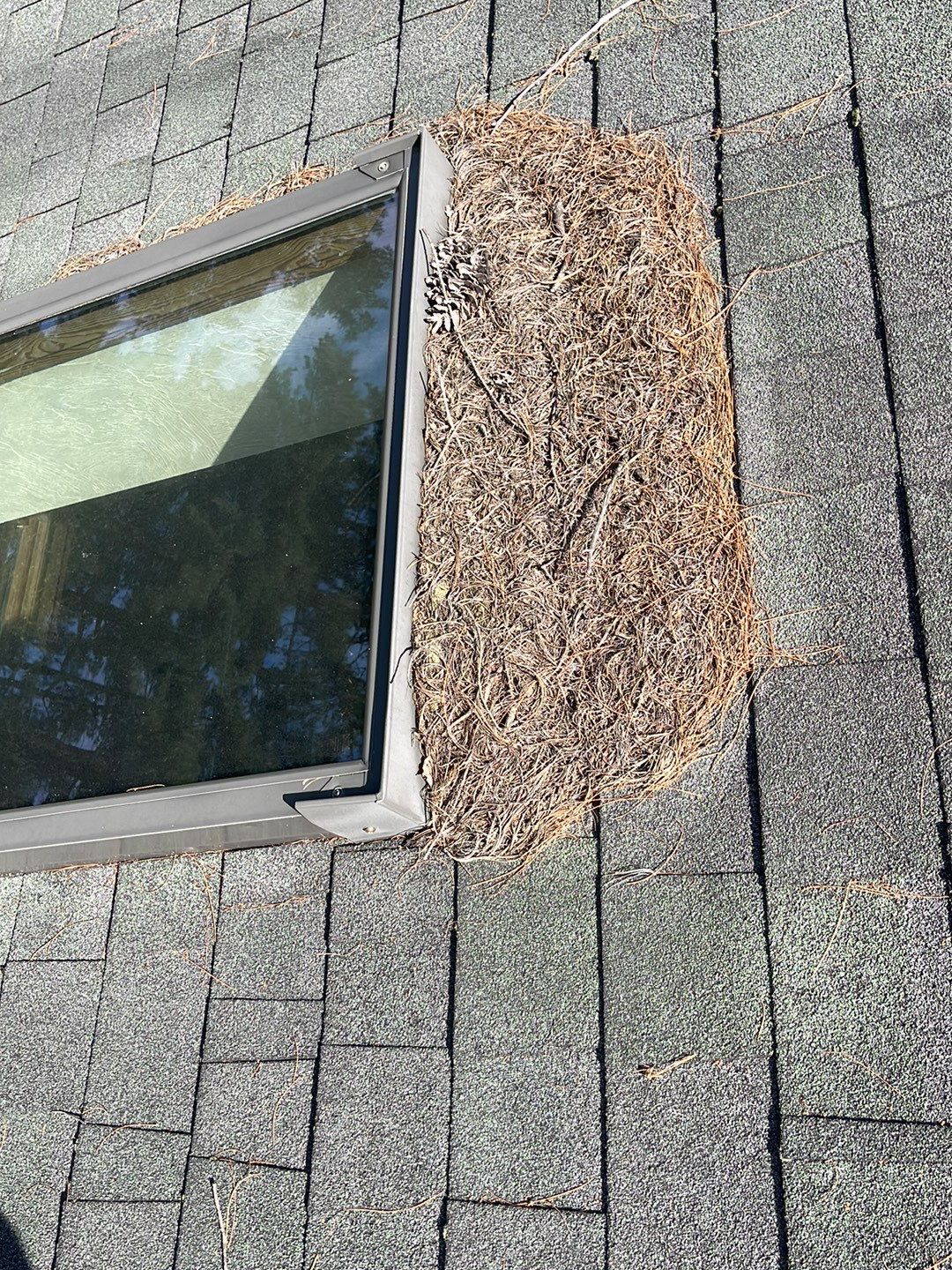  "Leak-Free Living: Expert Shingle Repairs for Lasting Protection!"  by Sensible Home Solutions