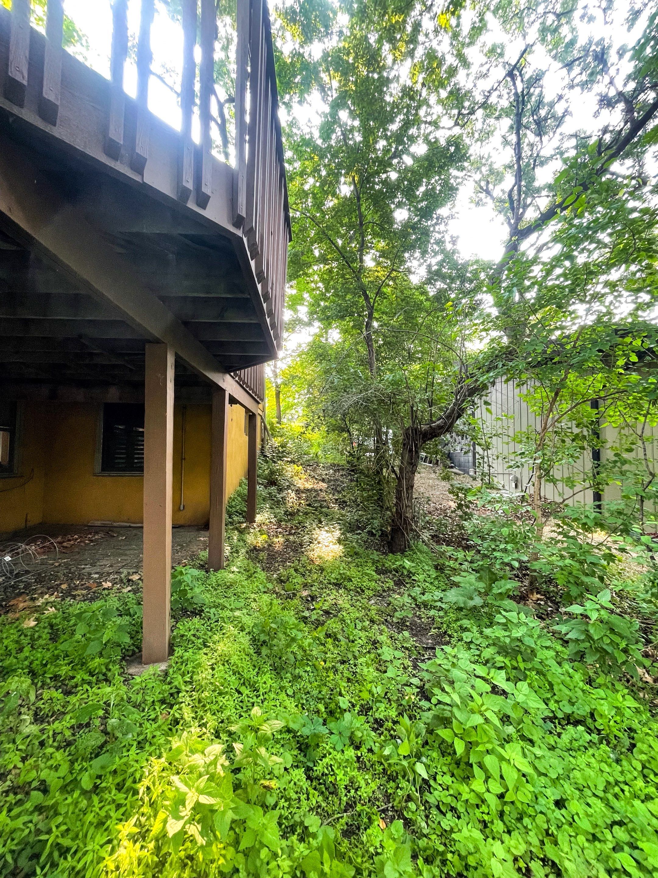 Landscape Renovation by Sota landscaping