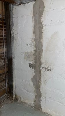 Foundation Crack Repair in Northeast Minneapolis