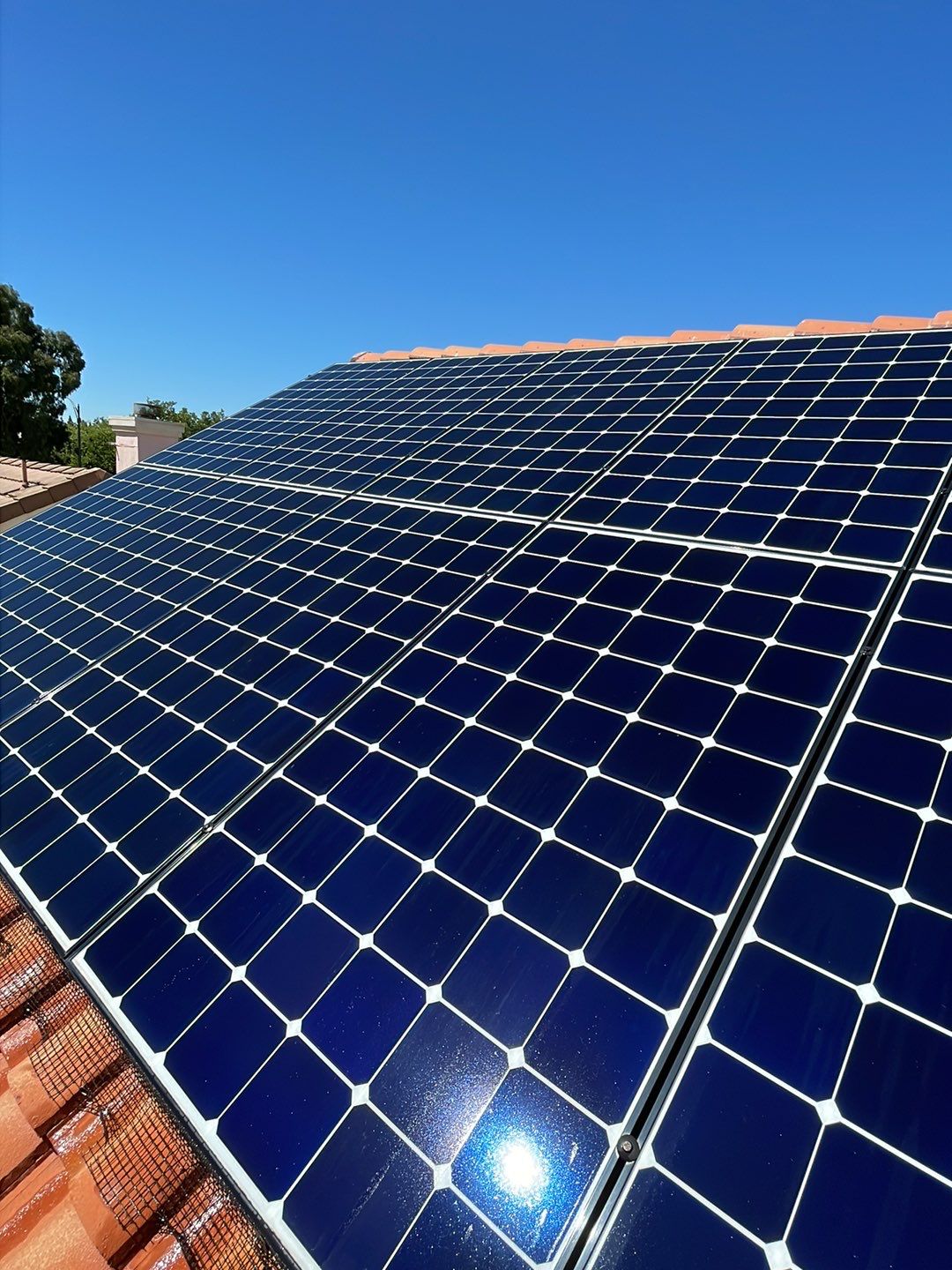 Solar Panel Bird Proofing using Critter Guard Mesh by All One Solar Shine
