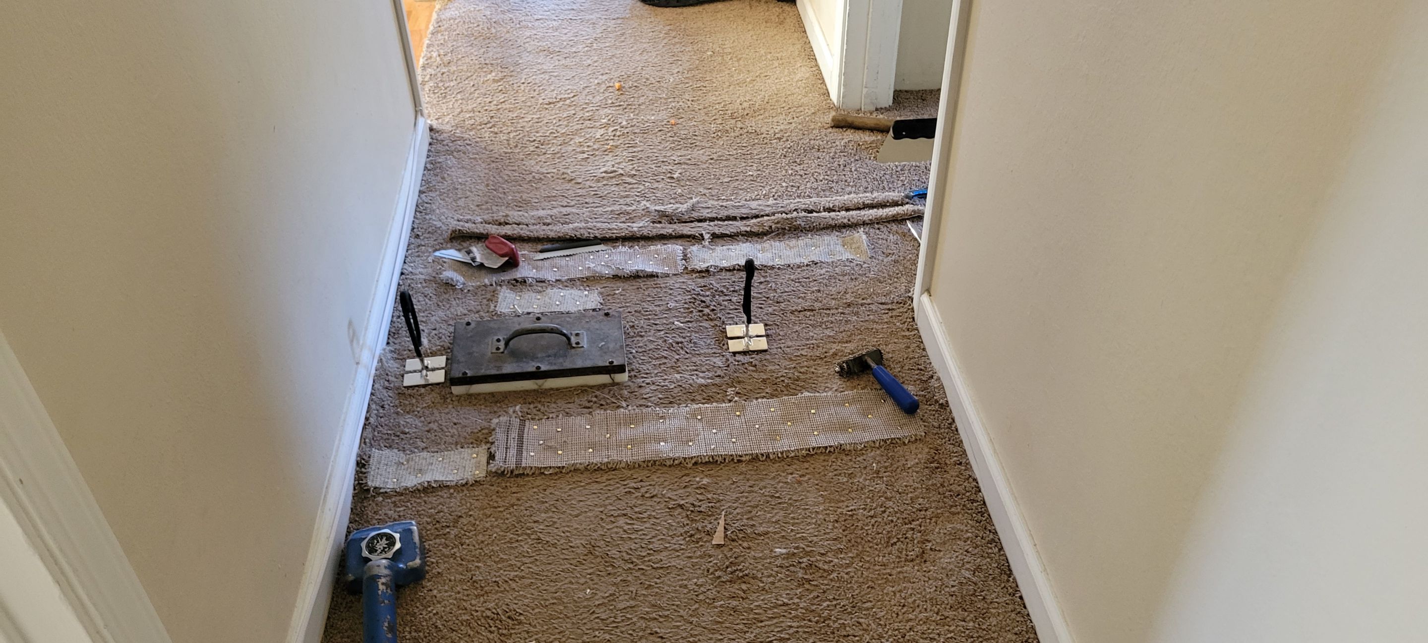 Fixing Carpet Wrinkles in a Hallway by Ardent Carpet Restore LLC