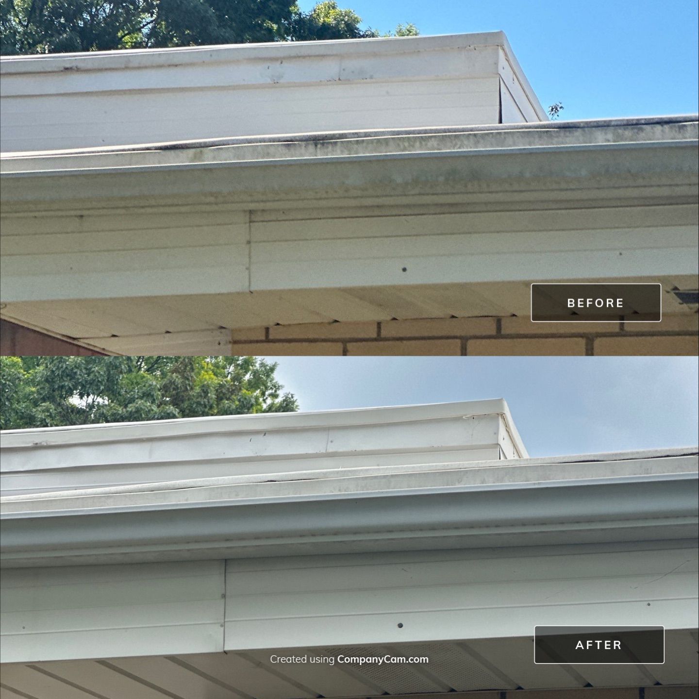 Project in Prospect Heights by Simmons Power & Soft Washing