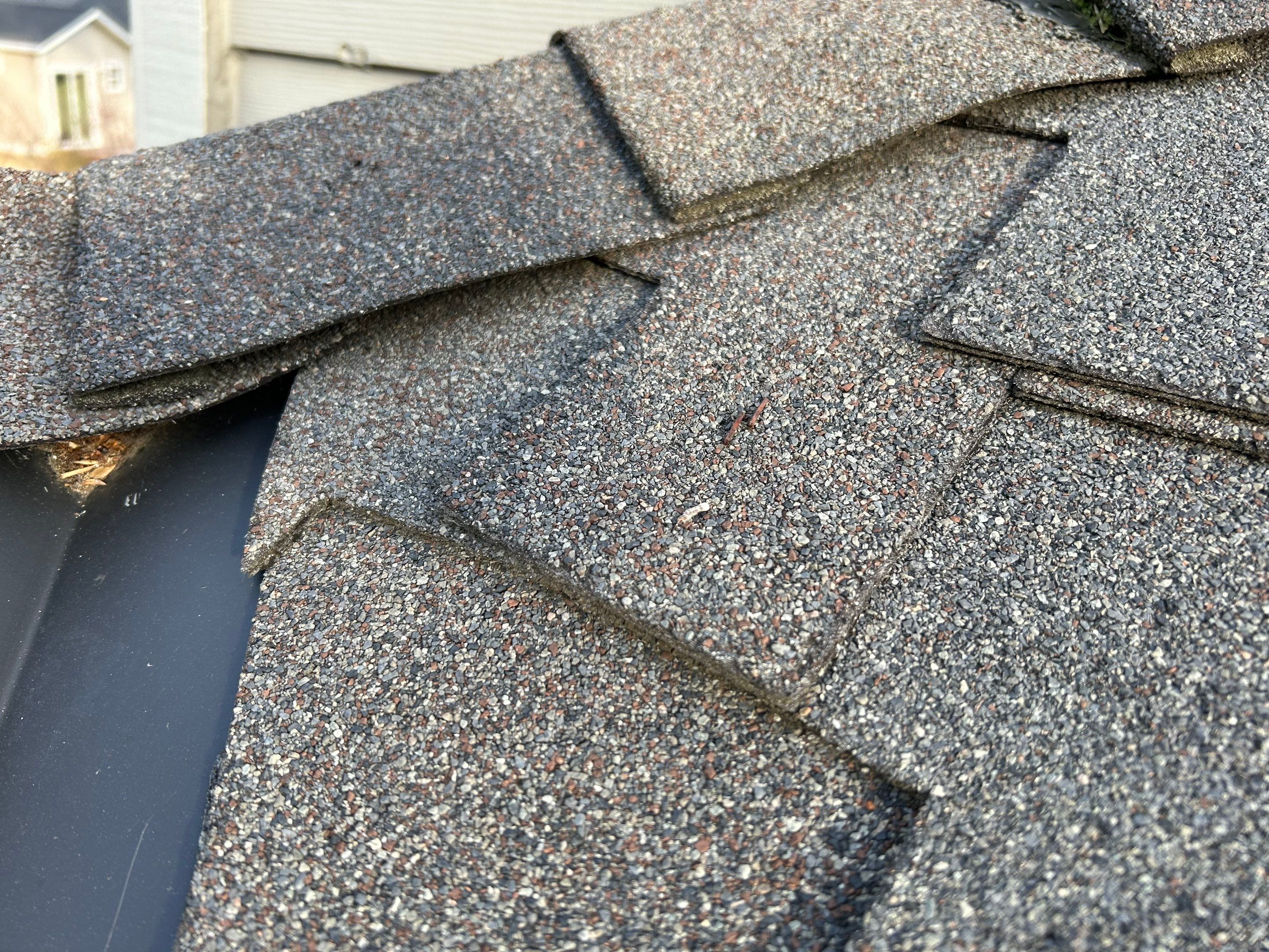Roof Maintenance in Beaverton by Prodigy Roof Solutions