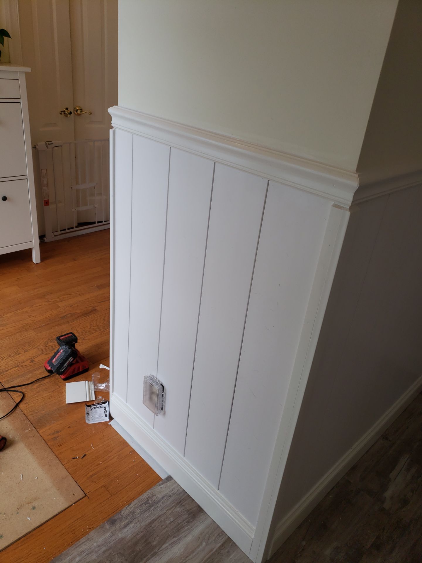 Front Room Transformed into a Waterproof Pet Room by A Step Above Handy LLC 