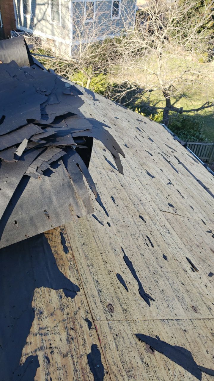 Arlington: CertainTeed Landmark Designer Shingles in Cobblestone Gray by RM Banning, Inc.