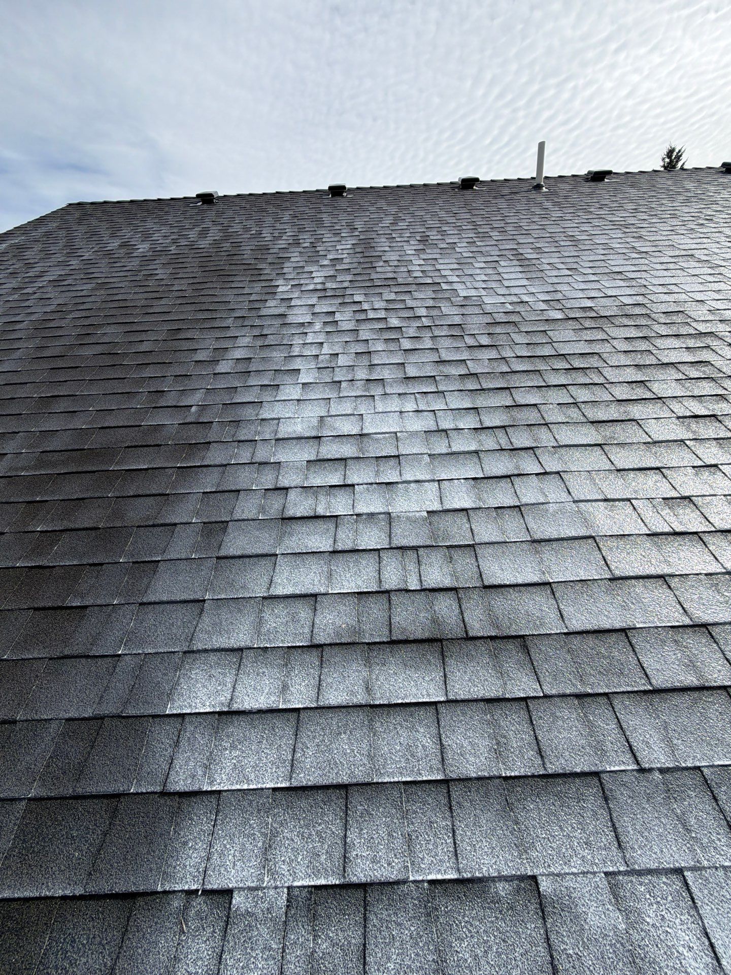 Project in Grants Pass by Roof Maxx of Grants Pass