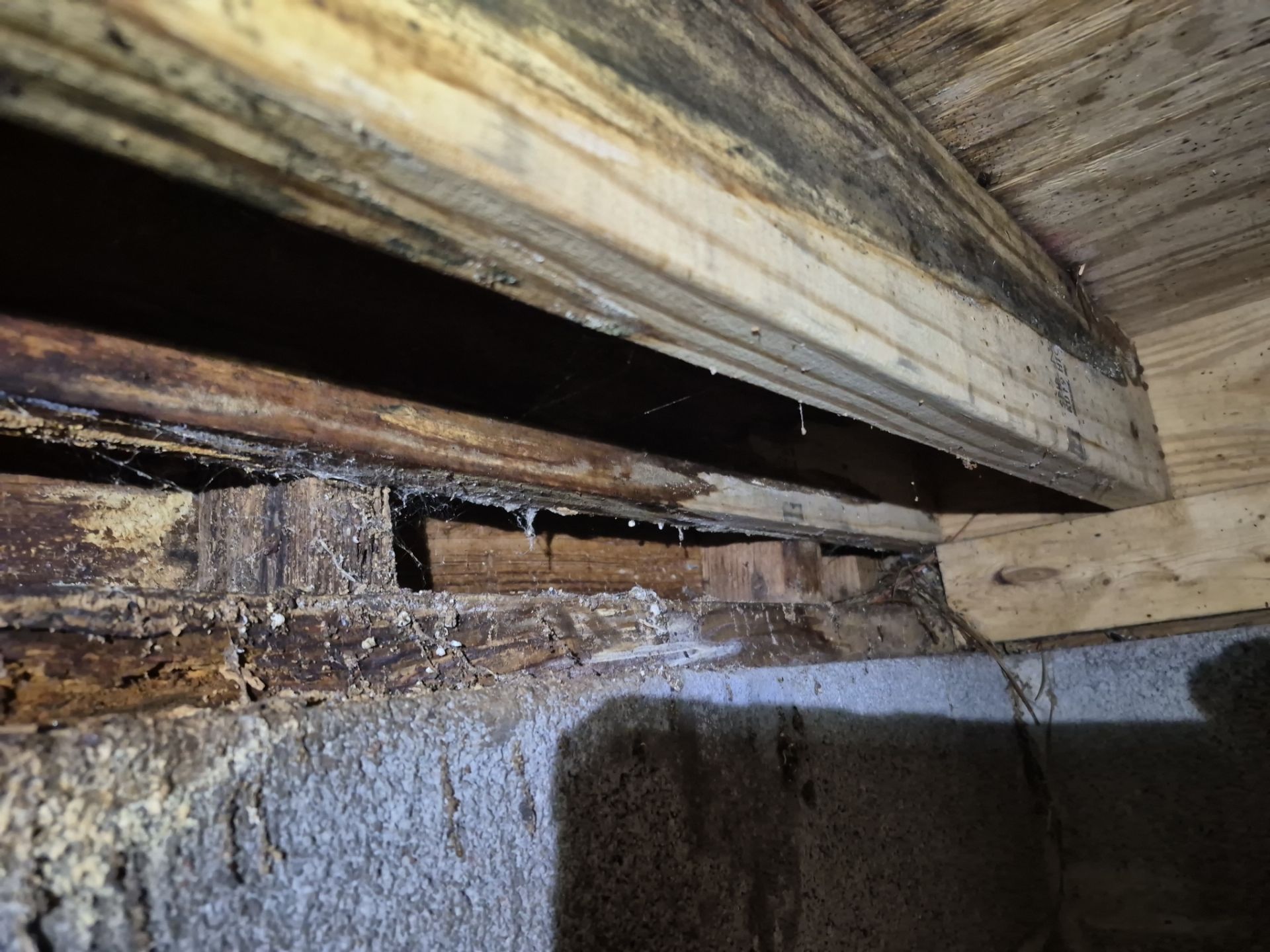 Project in Norfolk by Patriot Crawl Space Repairs