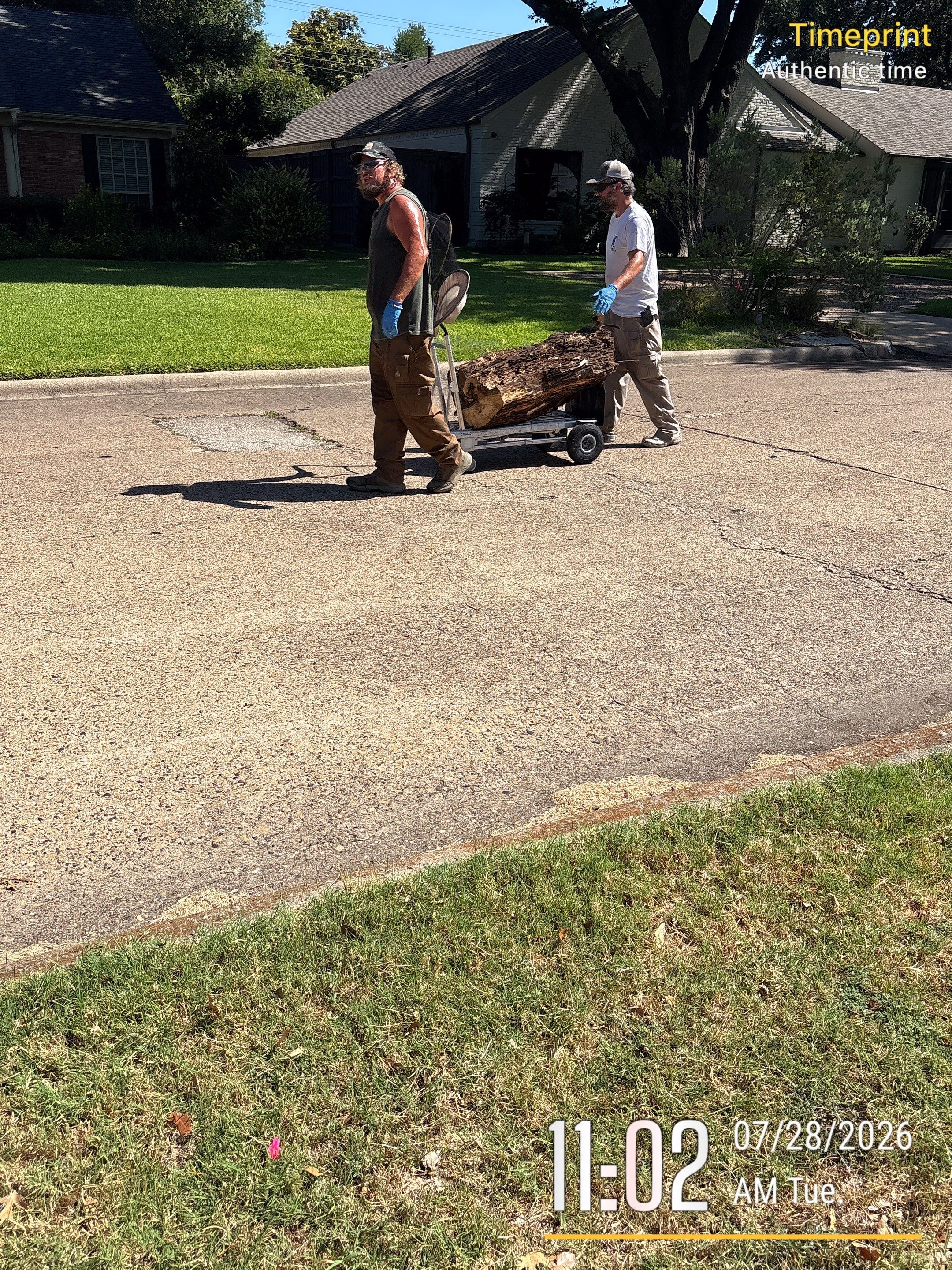 Warranted Removal by Rockwall Honey Bee Company