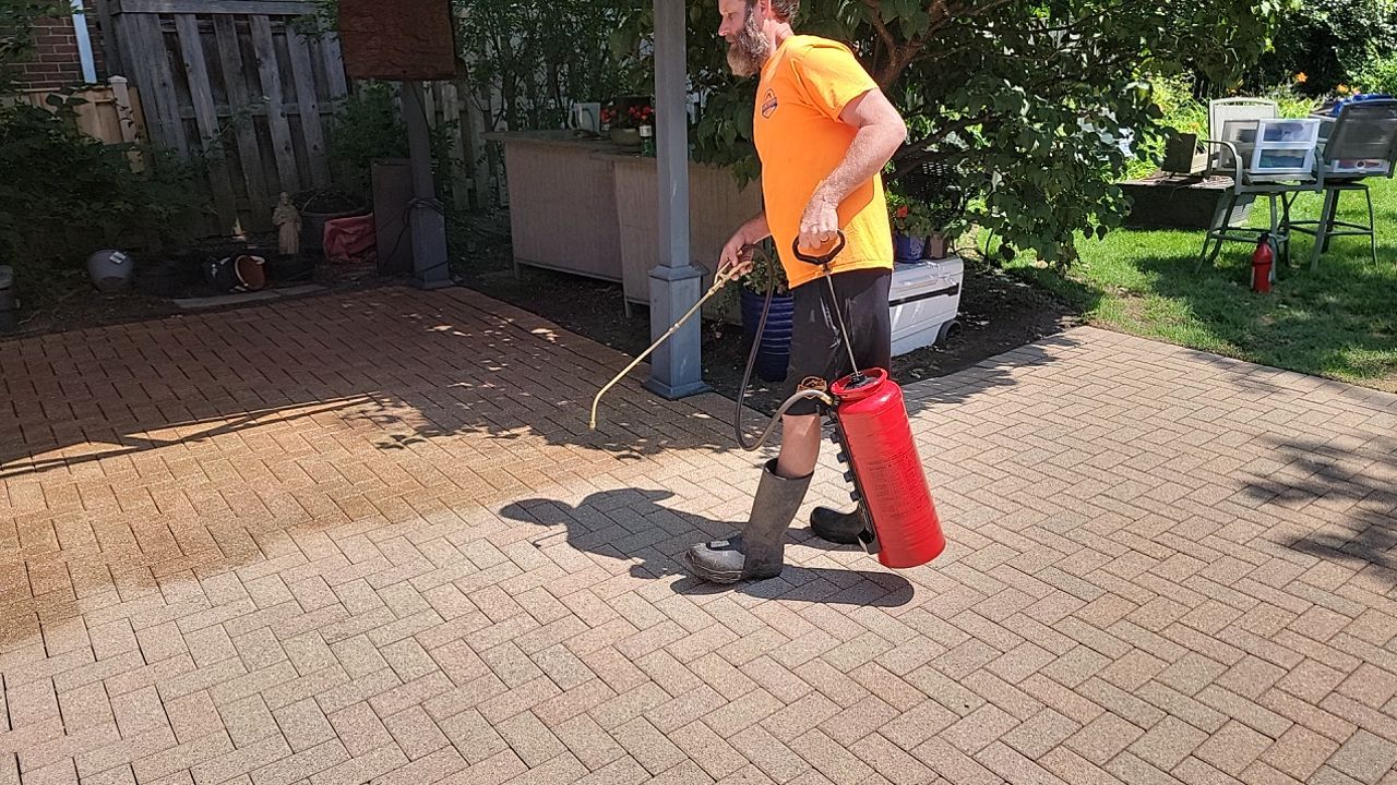 Brick paver clean, sand and seal. using Surebond SB-1300 by Northern Power Washing LLC.