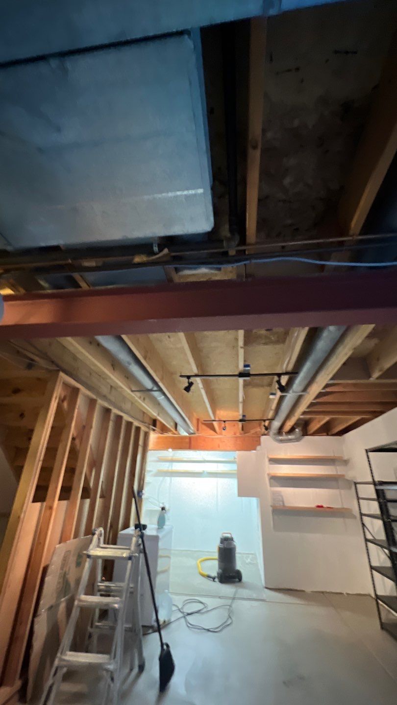 Mold Damage by Accountable Home Services