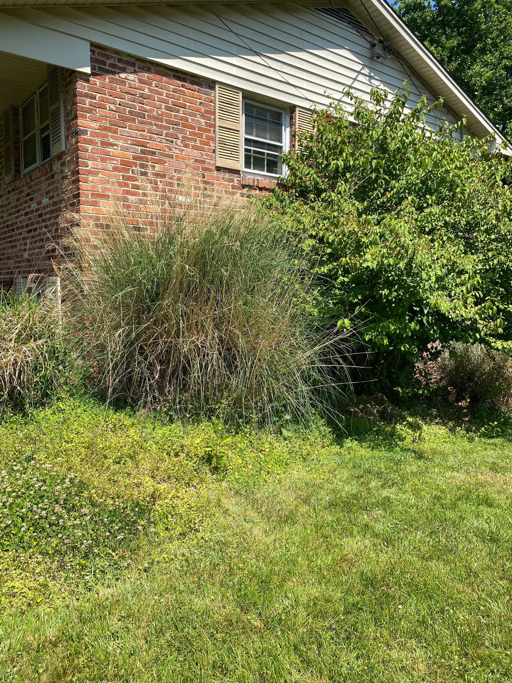 Landscape cleanup by The Smet Companies, LLC